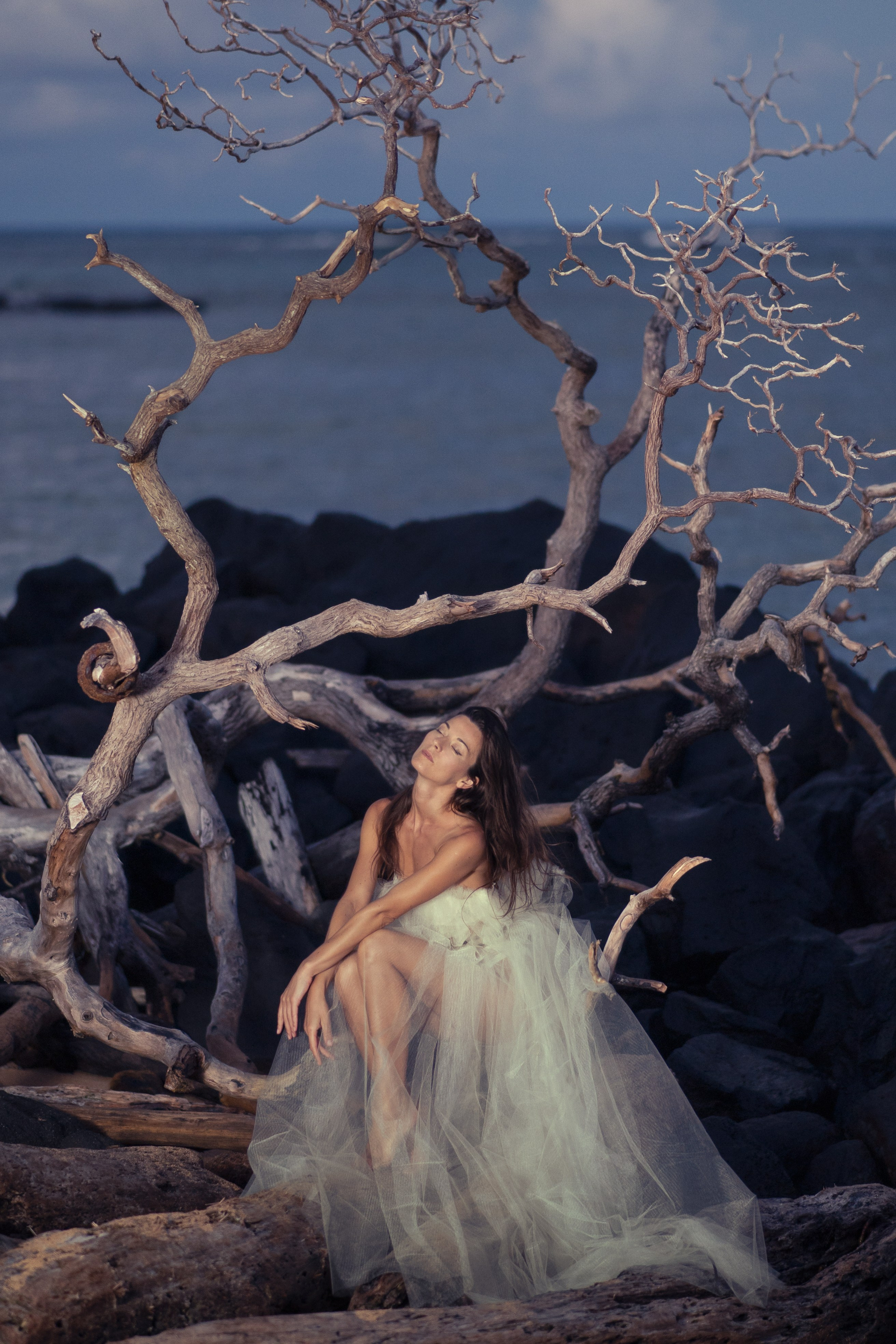 Kauai Beach Photography LLP. Awards winning photographer in Kauai, Hawaii