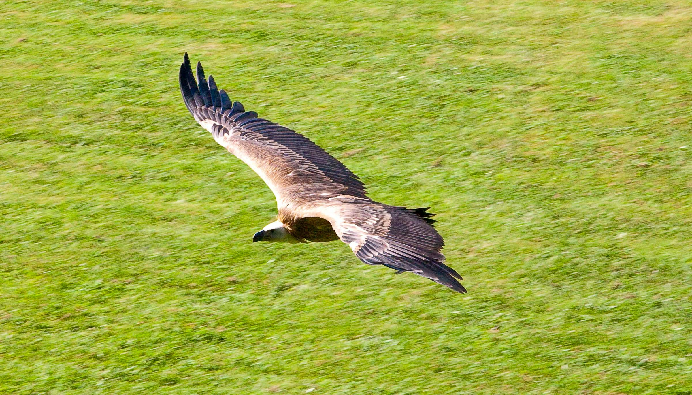 Wildpark Tambach. FOTO KREATIV