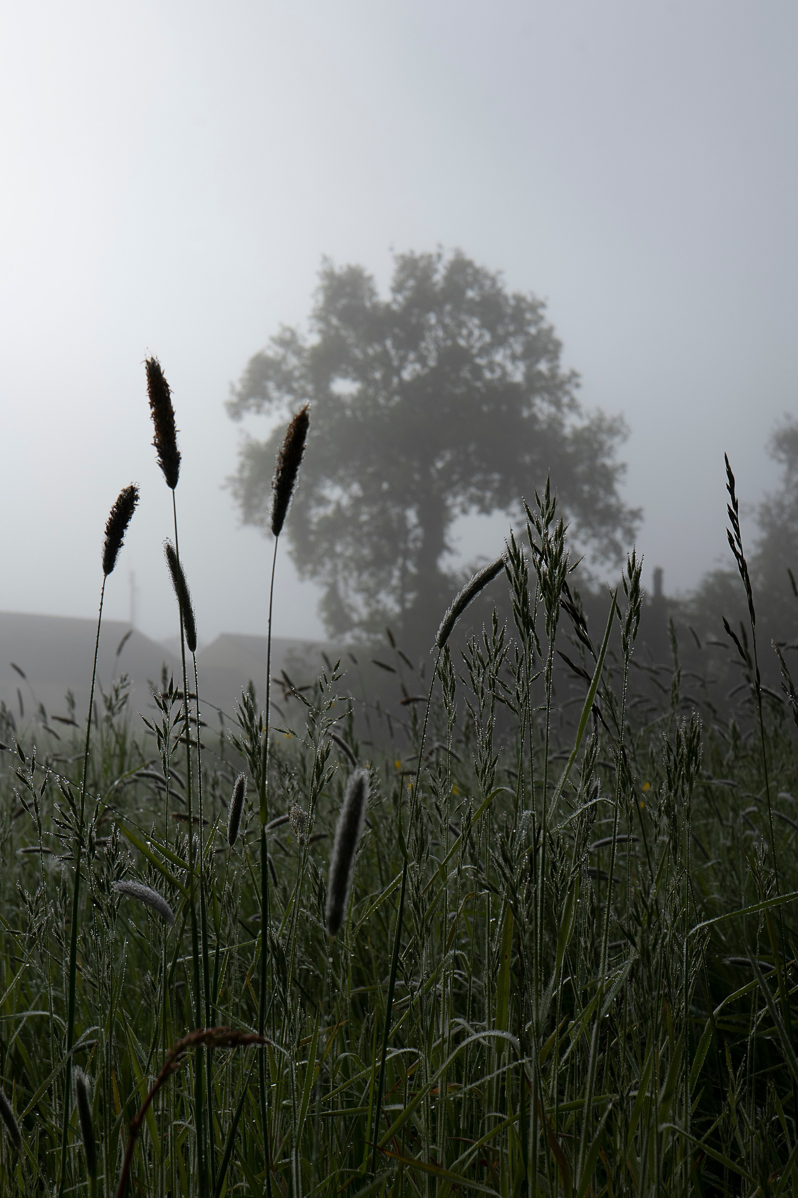 Paysages. Portrais créatifs de familles et individuels, Ile et Vilaine, France