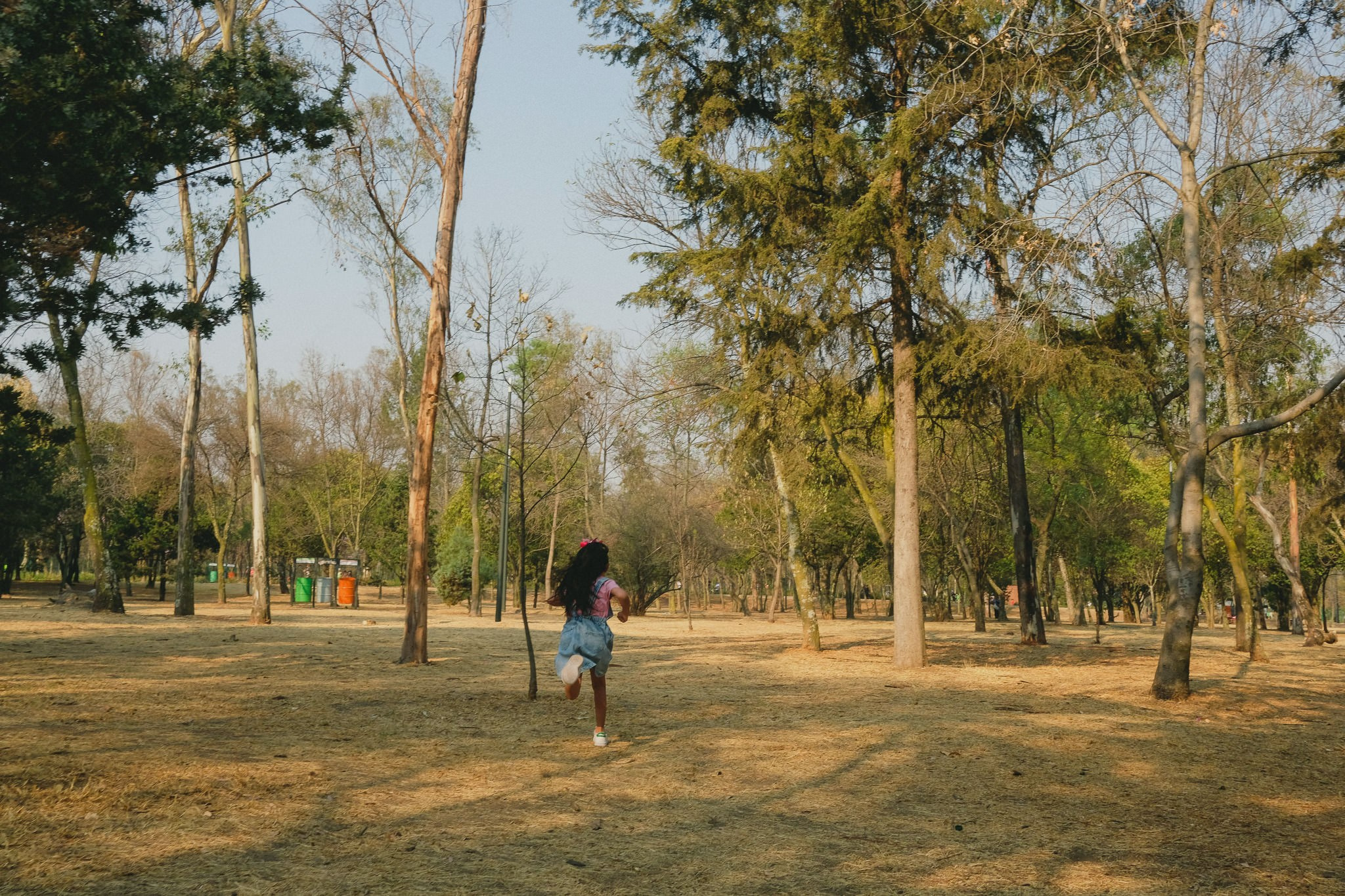 Fam Jarquin. Wedding and family photographer in Mexico City