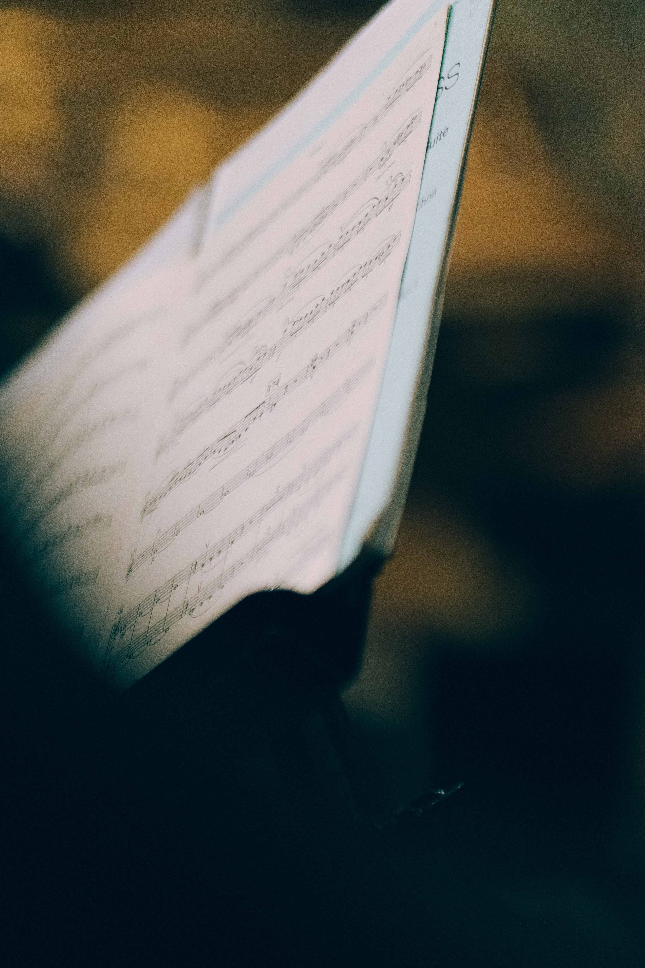 MUSIKVEREIN (VIENNA). Wedding&Event photographer Ismail Rzayev in Baku