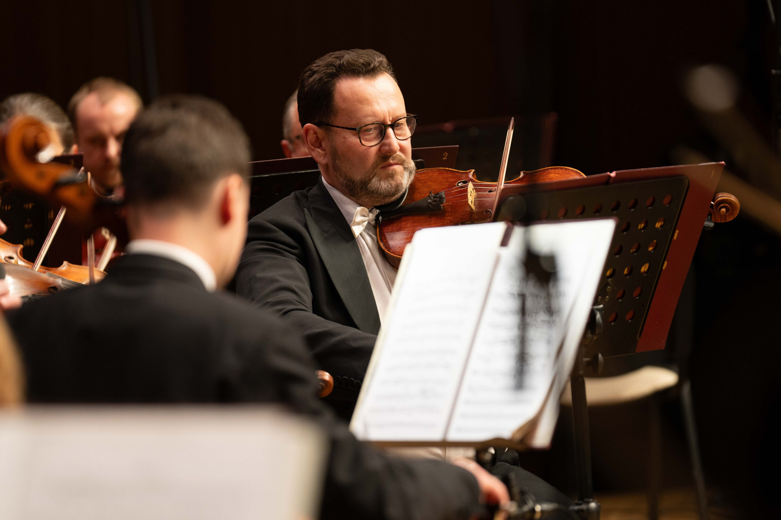 The Tchaikovsky Academic Grand Symphony Orchestra in Baku. Wedding&Event photographer Ismail Rzayev in Baku