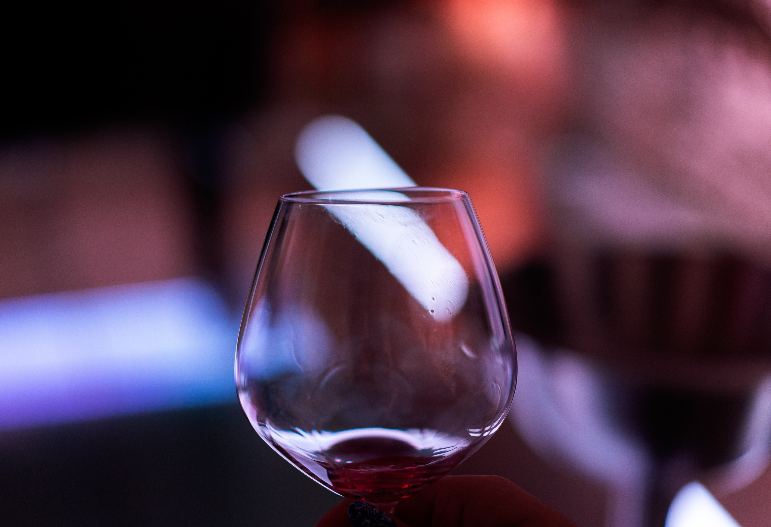 Photographe d’événements | Dégustation de vin en Bourgogne par Eugenia Lugovaya. Photographe à Genève - Eugenia Andres