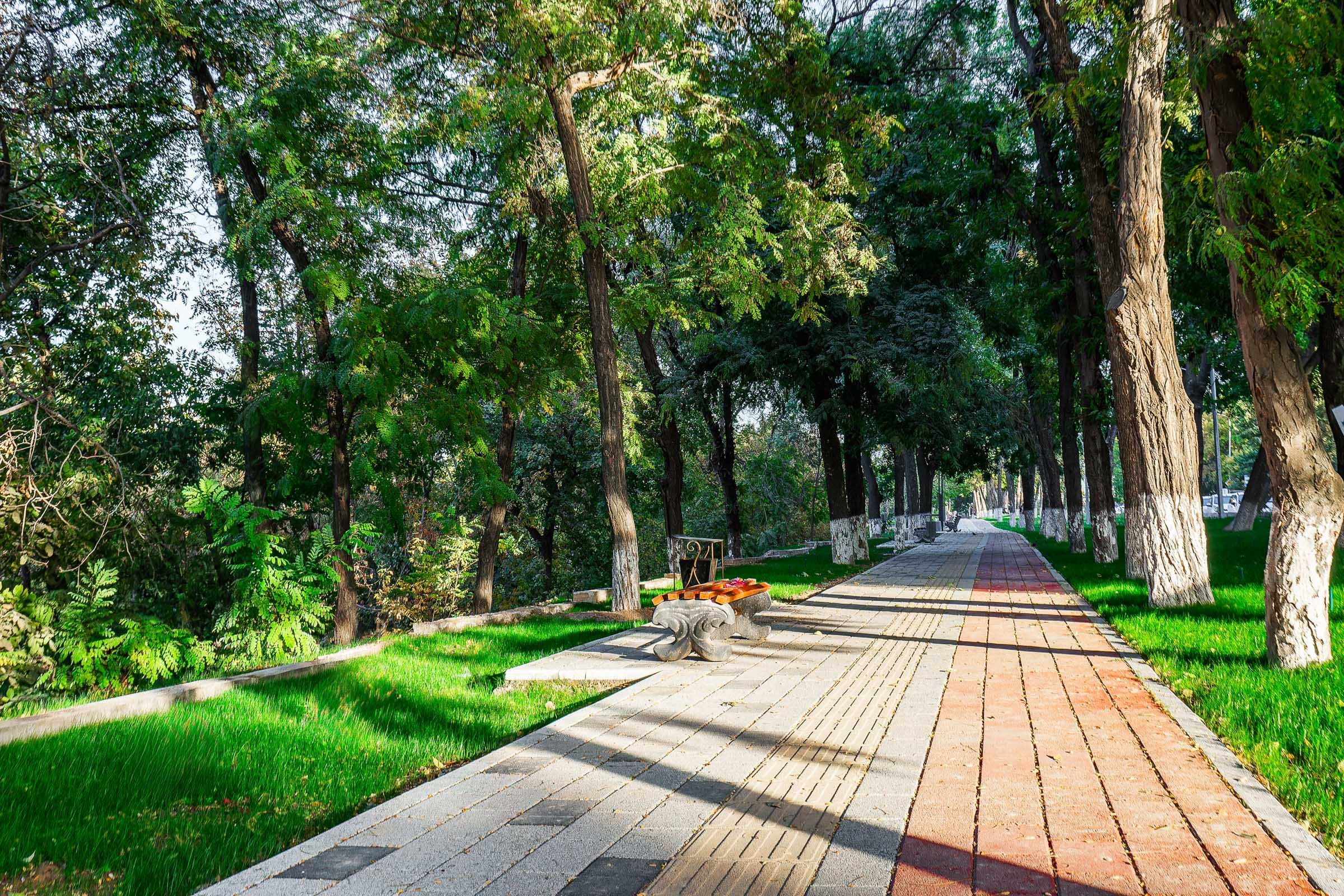 Интерьерный фотограф ташкент узбекистан
