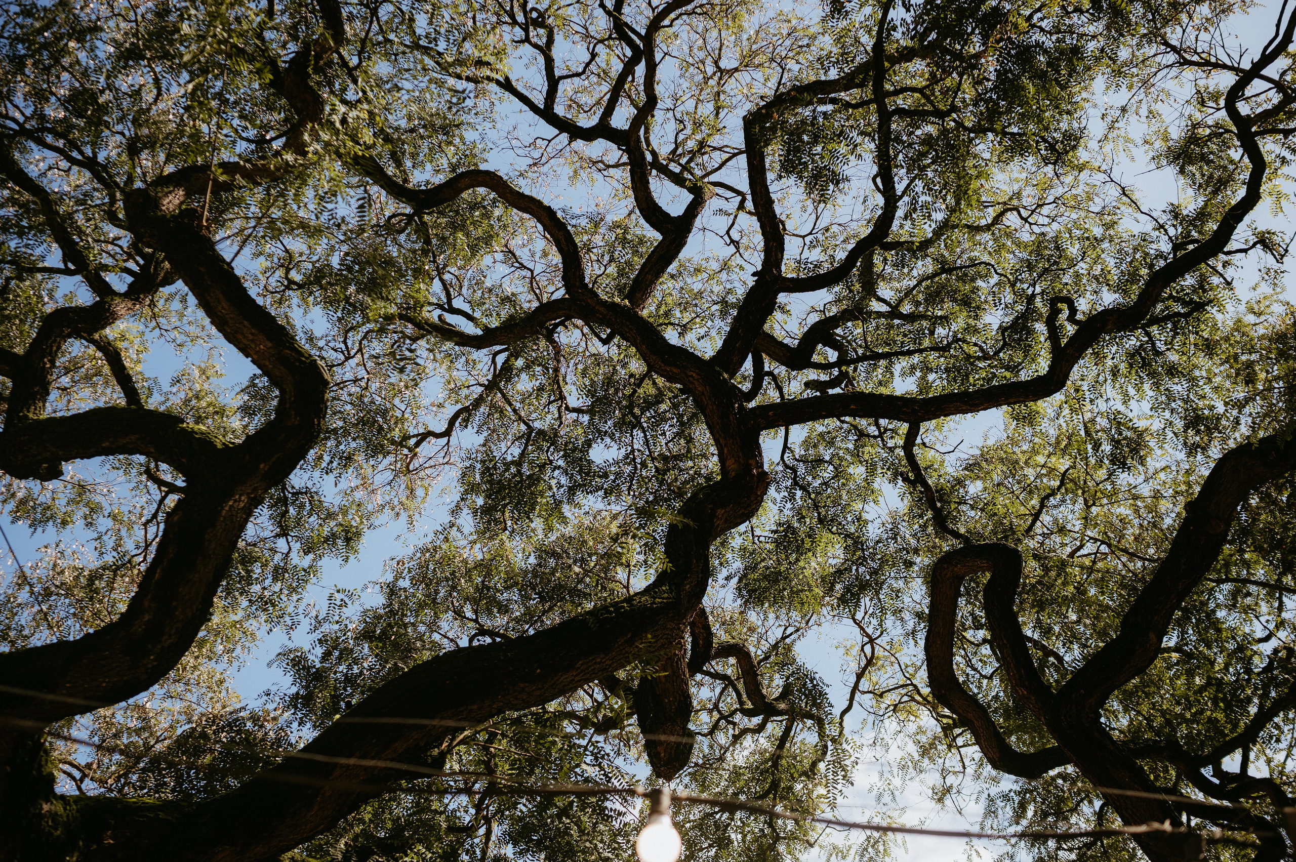 Ședință foto romantică în Lisabona – Inspirație pentru fotografiile de nuntă. Valentin Melen — wedding photographer