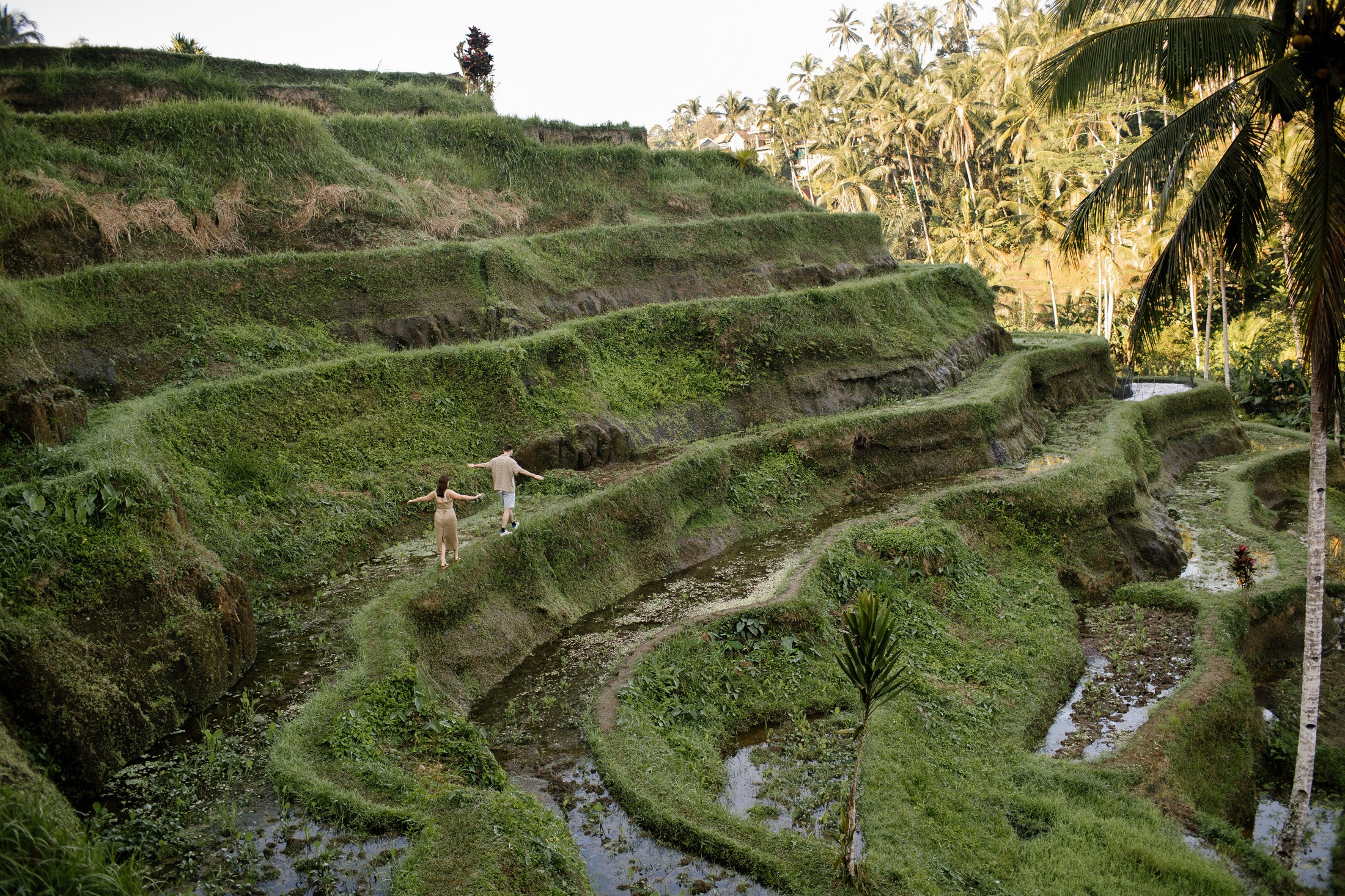 Rice Terraces. Getitfeel — Aesthetic Photography and Videography