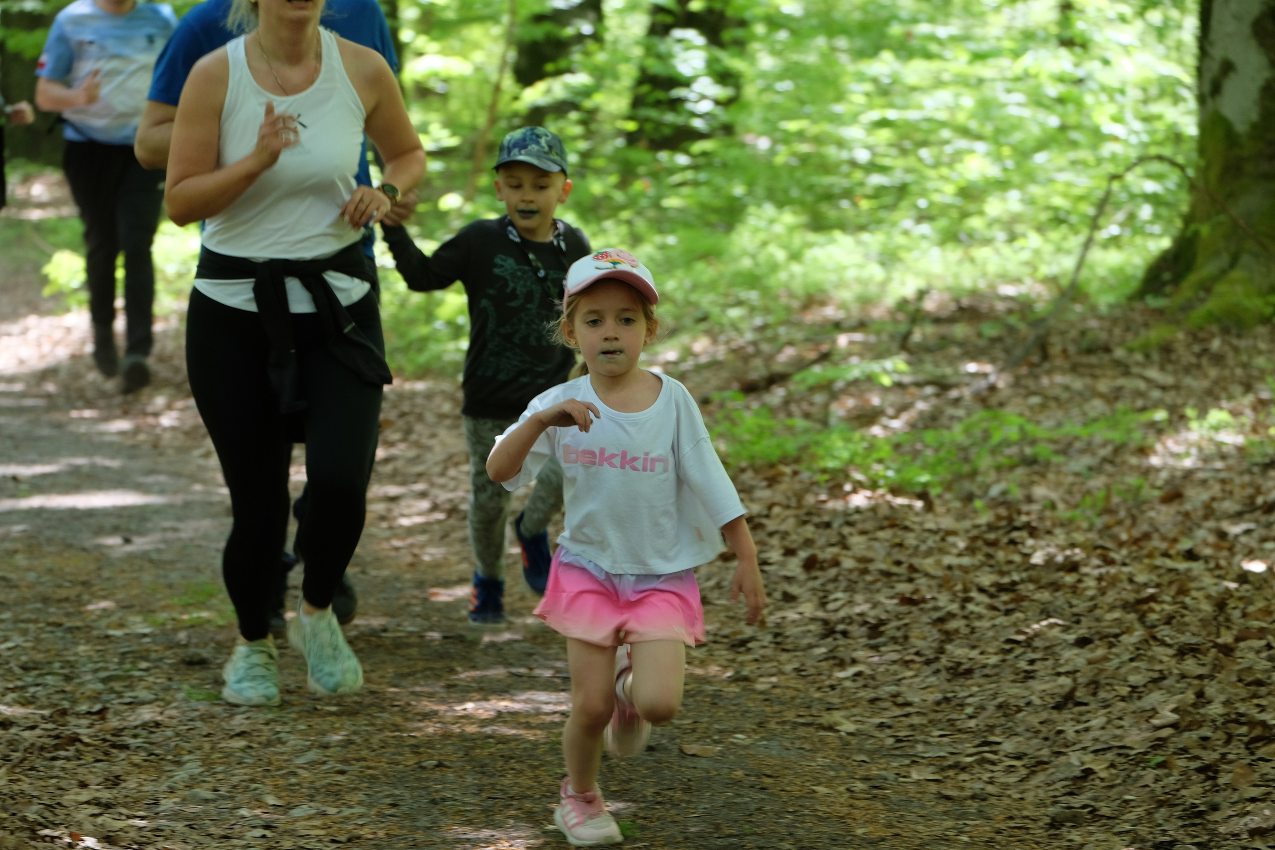 Aleksandryjska Piątka po lesie. Main