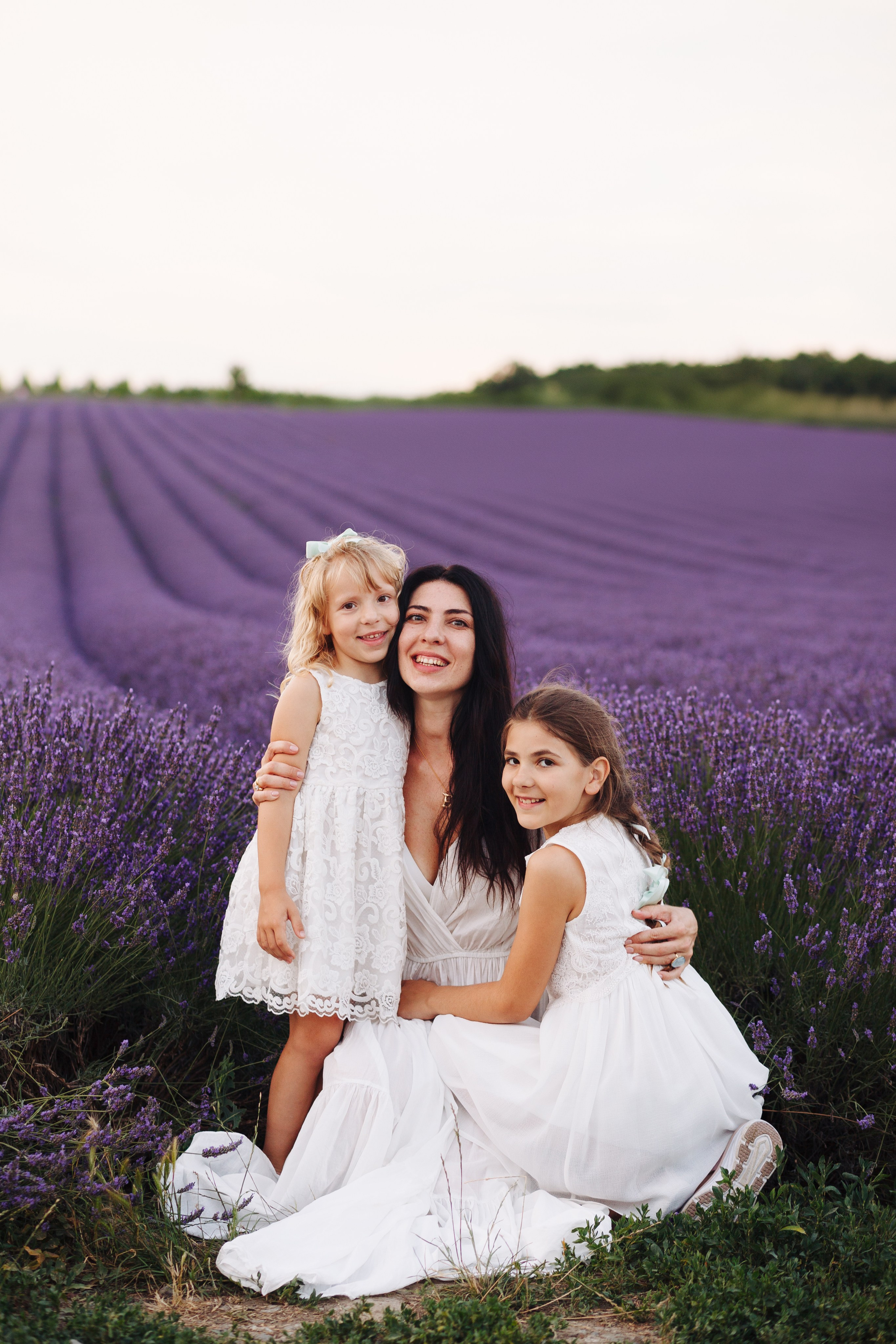 Lavender. Photographer in Prague for tourists
