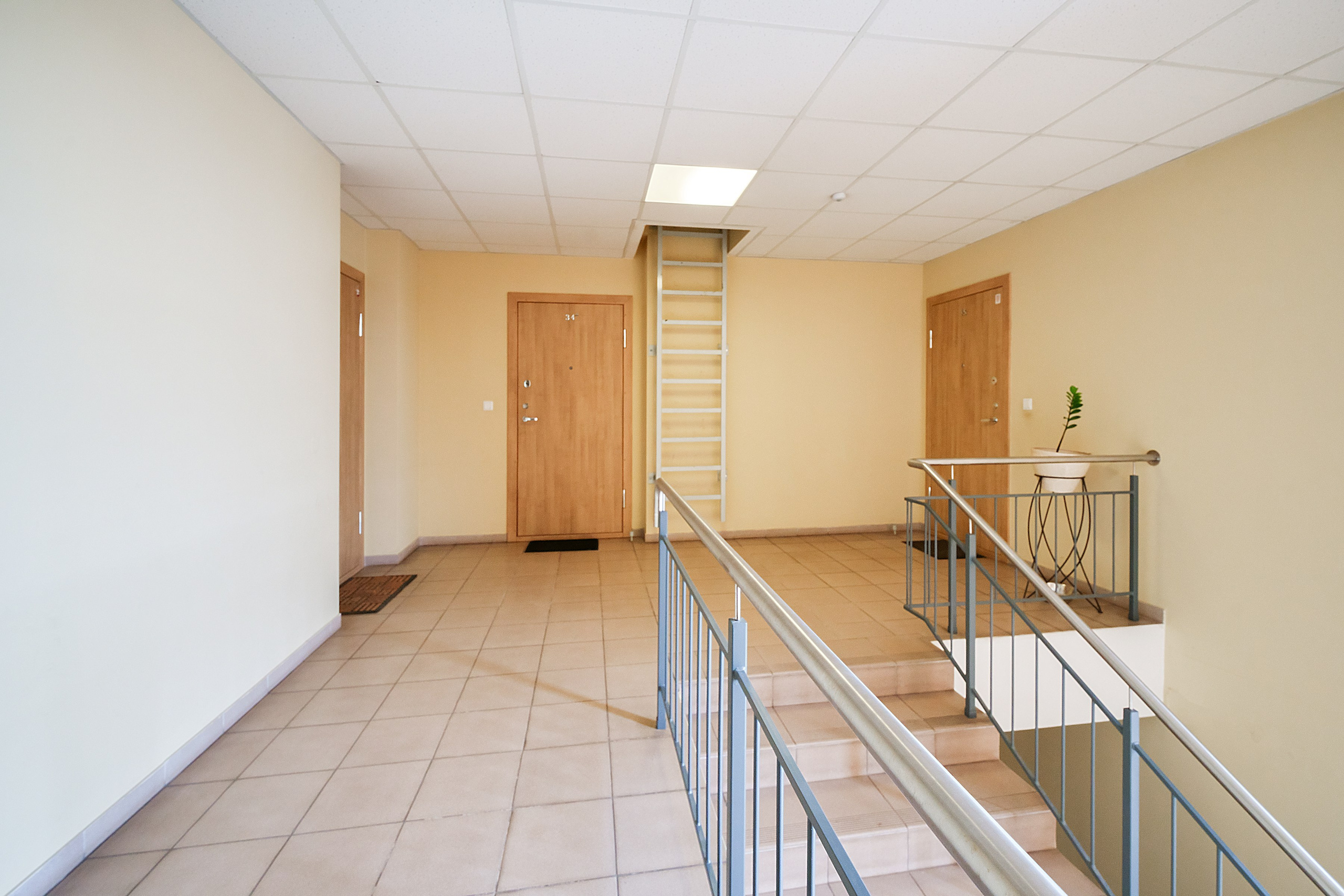 Bajorų kelias 1. Elina Sapiega fotografė Vilniuje