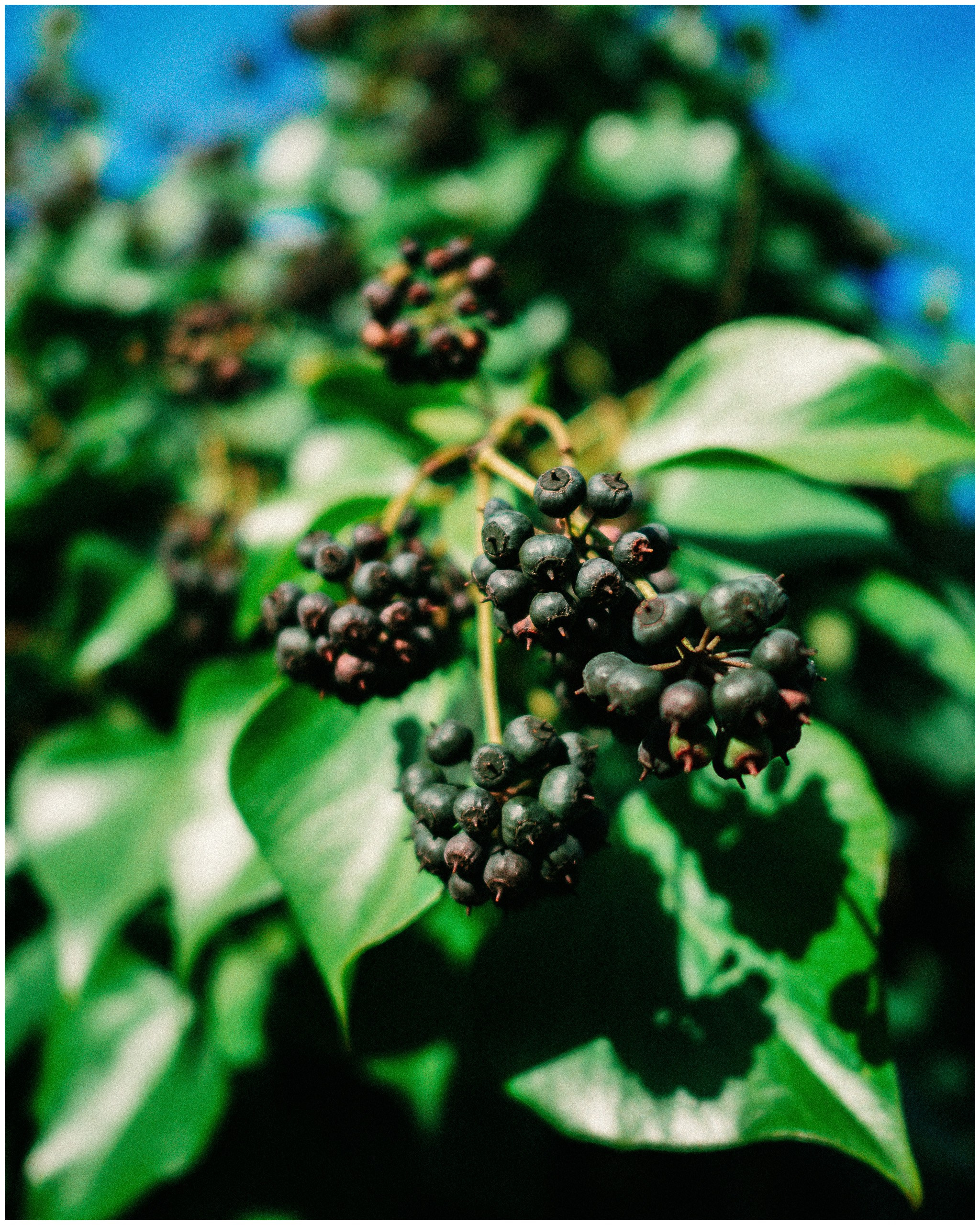 BARCELONA. Inna Mendelson — Photographer