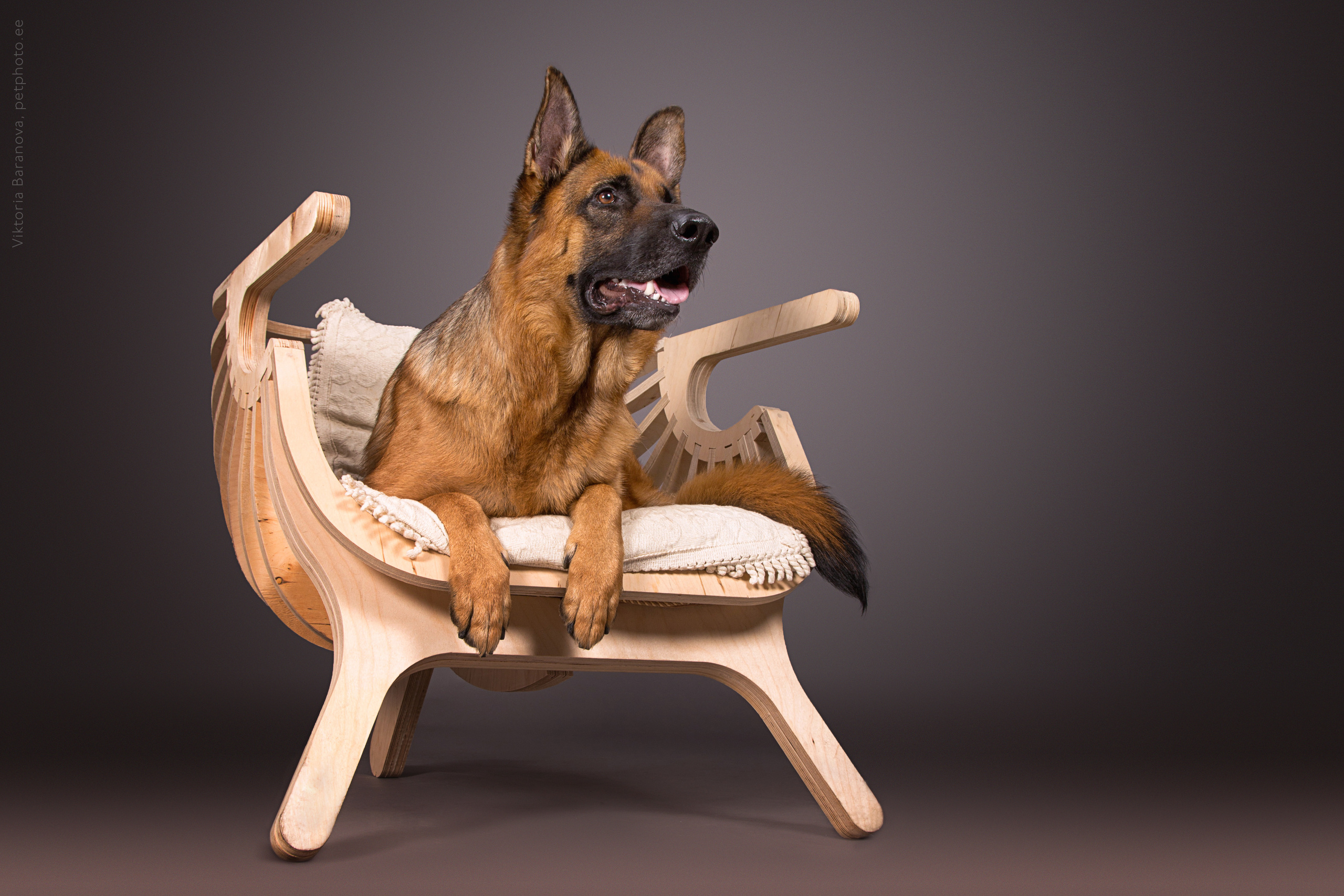 Rony (5 фото). Фотограф в Таллине Виктория Баранова |фотосессии и обучение / Photographer Viktoria Baranova