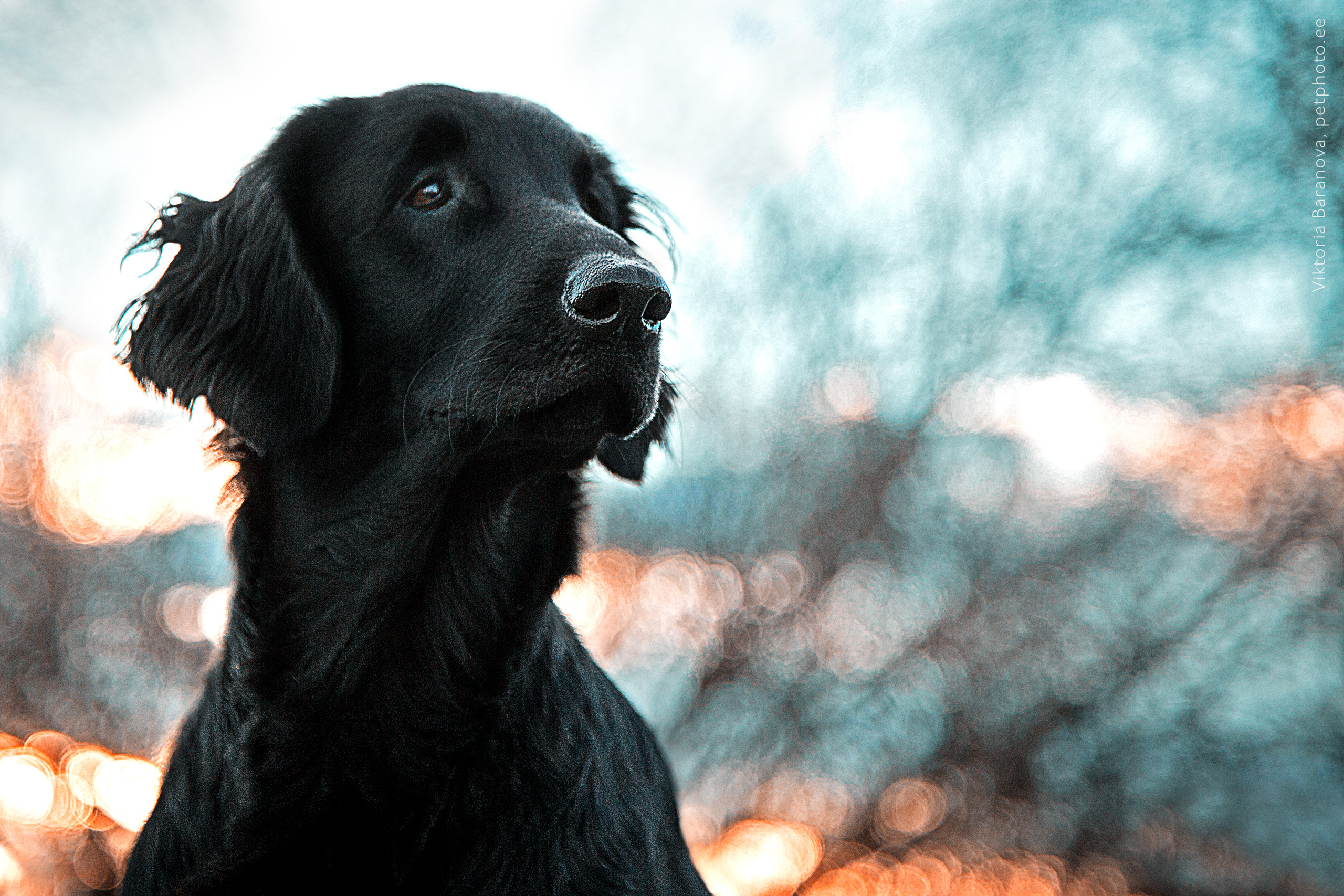 MK. Фотограф в Таллине Виктория Баранова |фотосессии и обучение / Photographer Viktoria Baranova