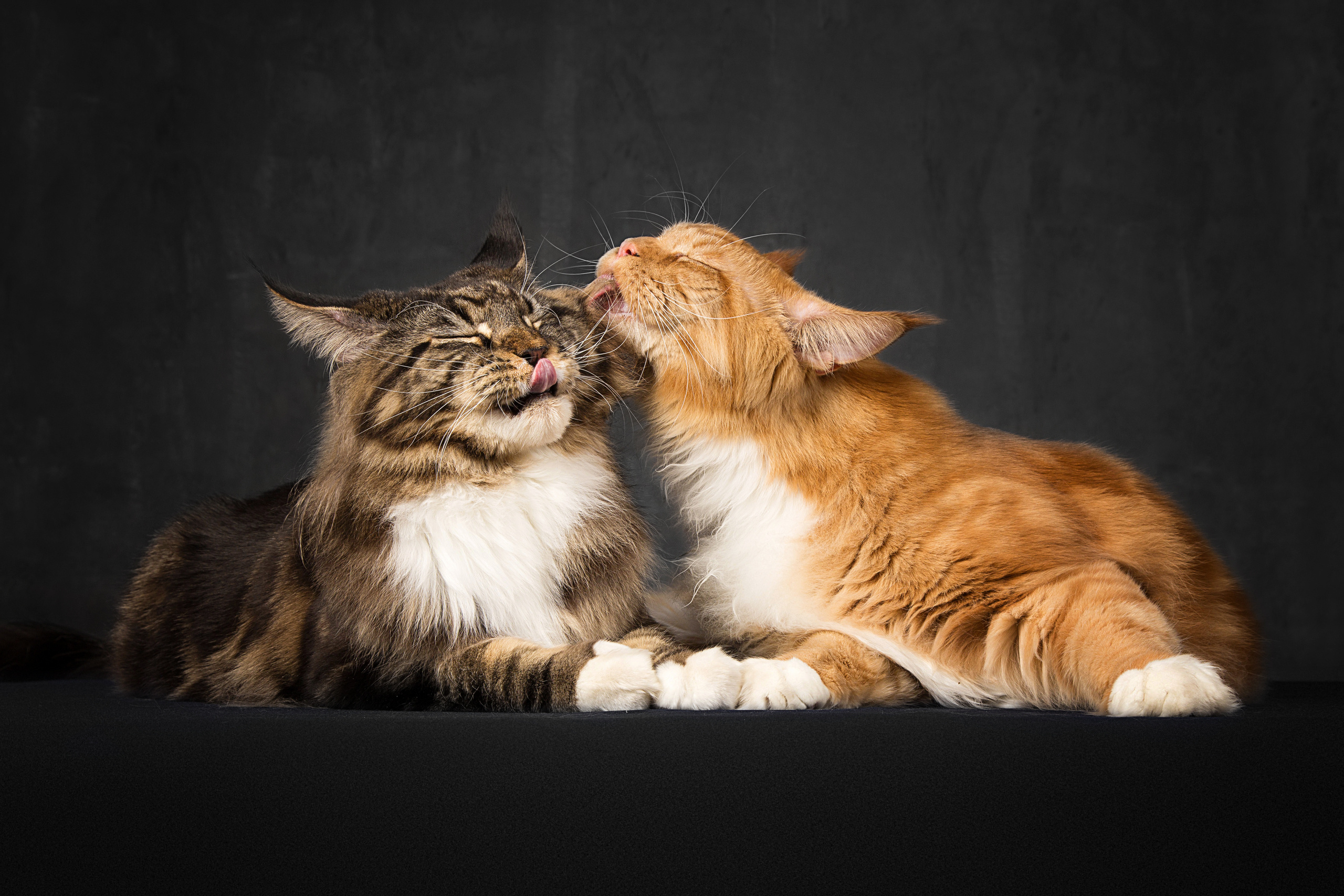 MeiKuni. Фотограф в Таллине Виктория Баранова |фотосессии и обучение / Photographer Viktoria Baranova