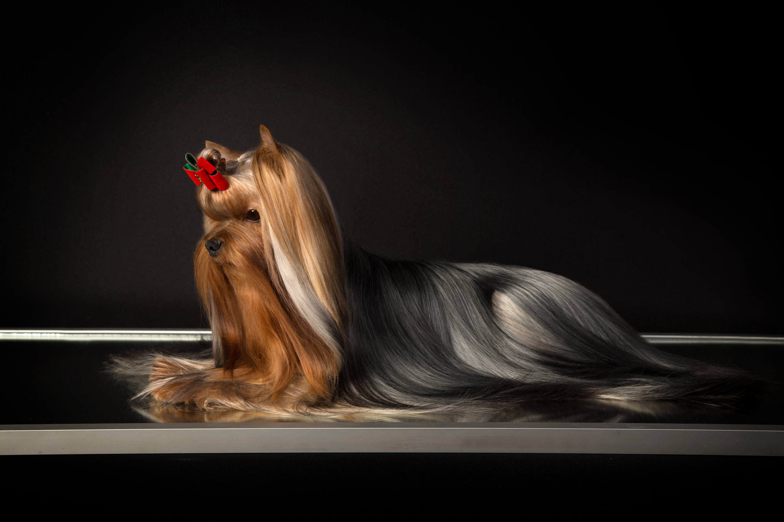 Pont — Yulya Osipova (9 фото). Фотограф в Таллине Виктория Баранова |фотосессии и обучение / Photographer Viktoria Baranova