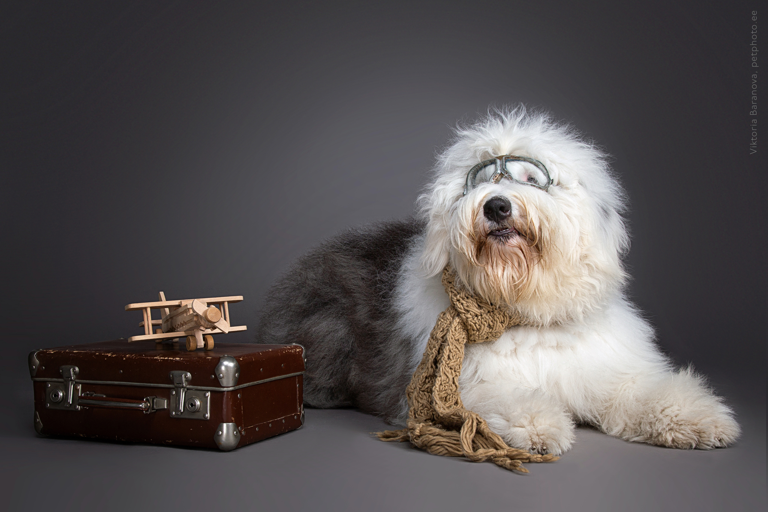 Winsent (5 фото). Фотограф в Таллине Виктория Баранова |фотосессии и обучение / Photographer Viktoria Baranova