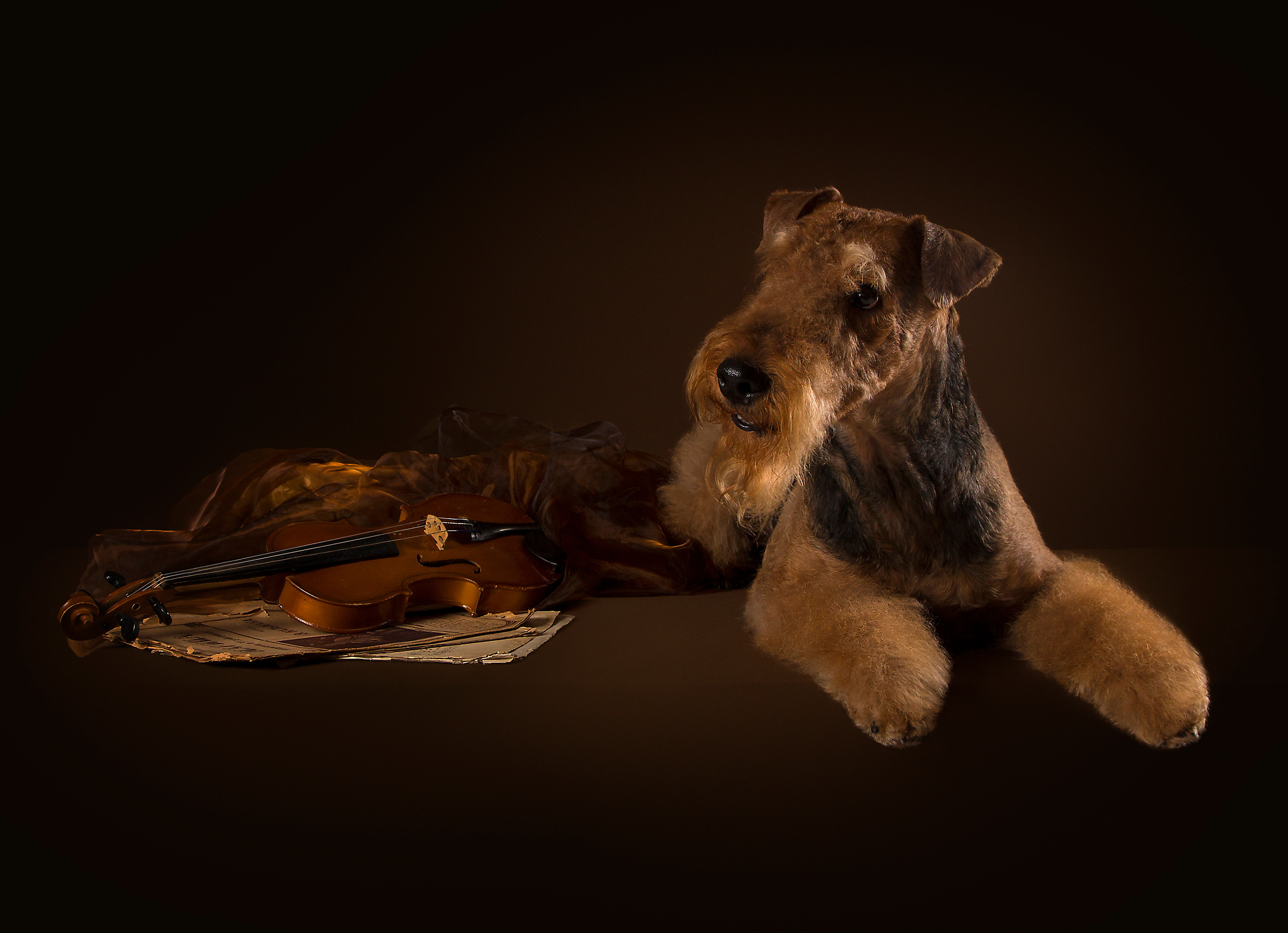 Kira. Фотограф в Таллине Виктория Баранова |фотосессии и обучение / Photographer Viktoria Baranova