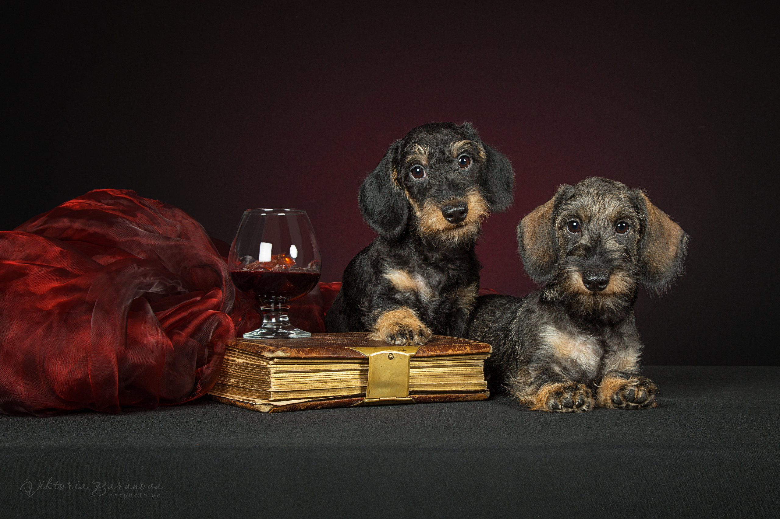 Taksi (6 фото). Фотограф в Таллине Виктория Баранова |фотосессии и обучение / Photographer Viktoria Baranova