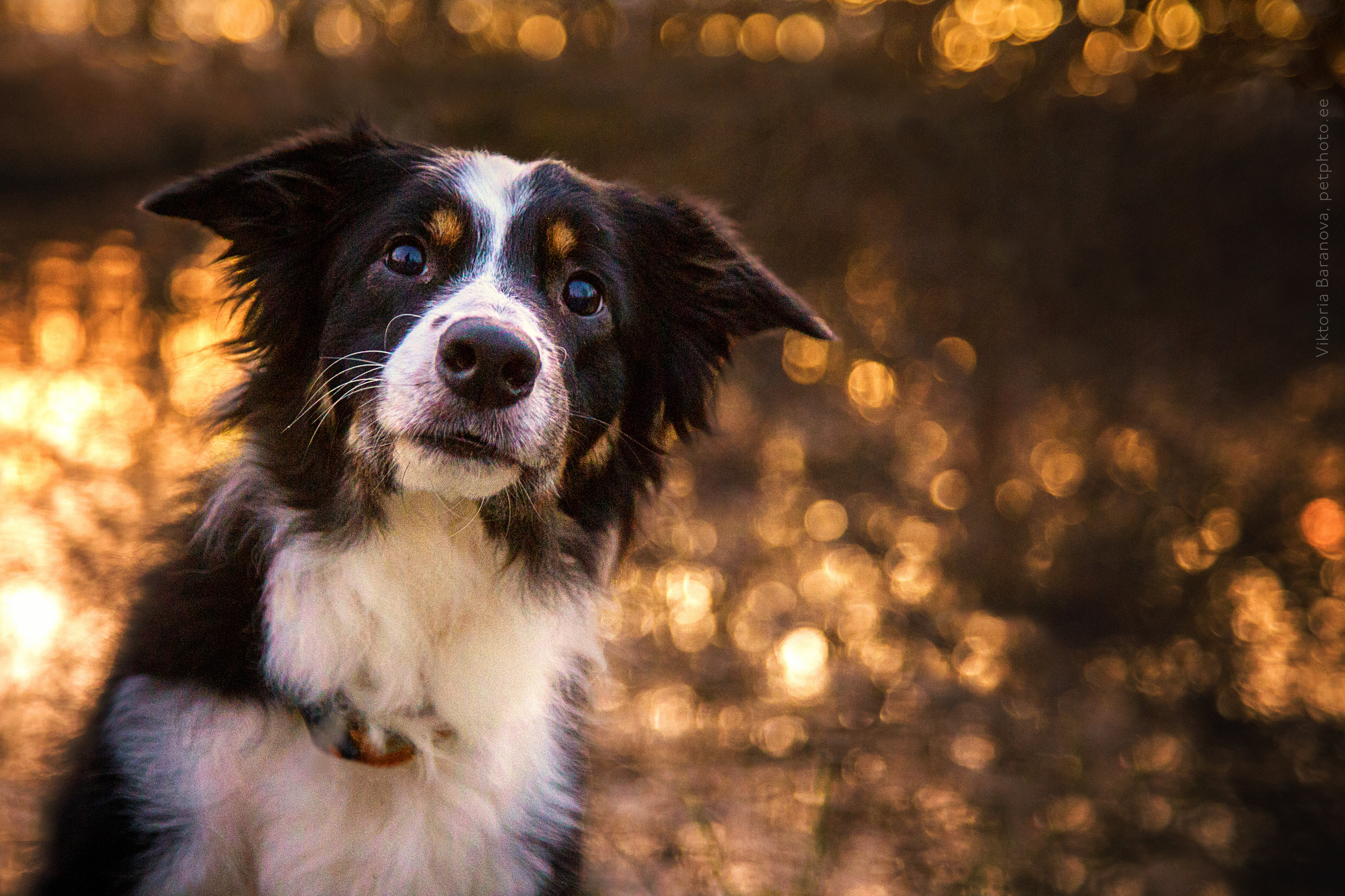MK. Фотограф в Таллине Виктория Баранова |фотосессии и обучение / Photographer Viktoria Baranova