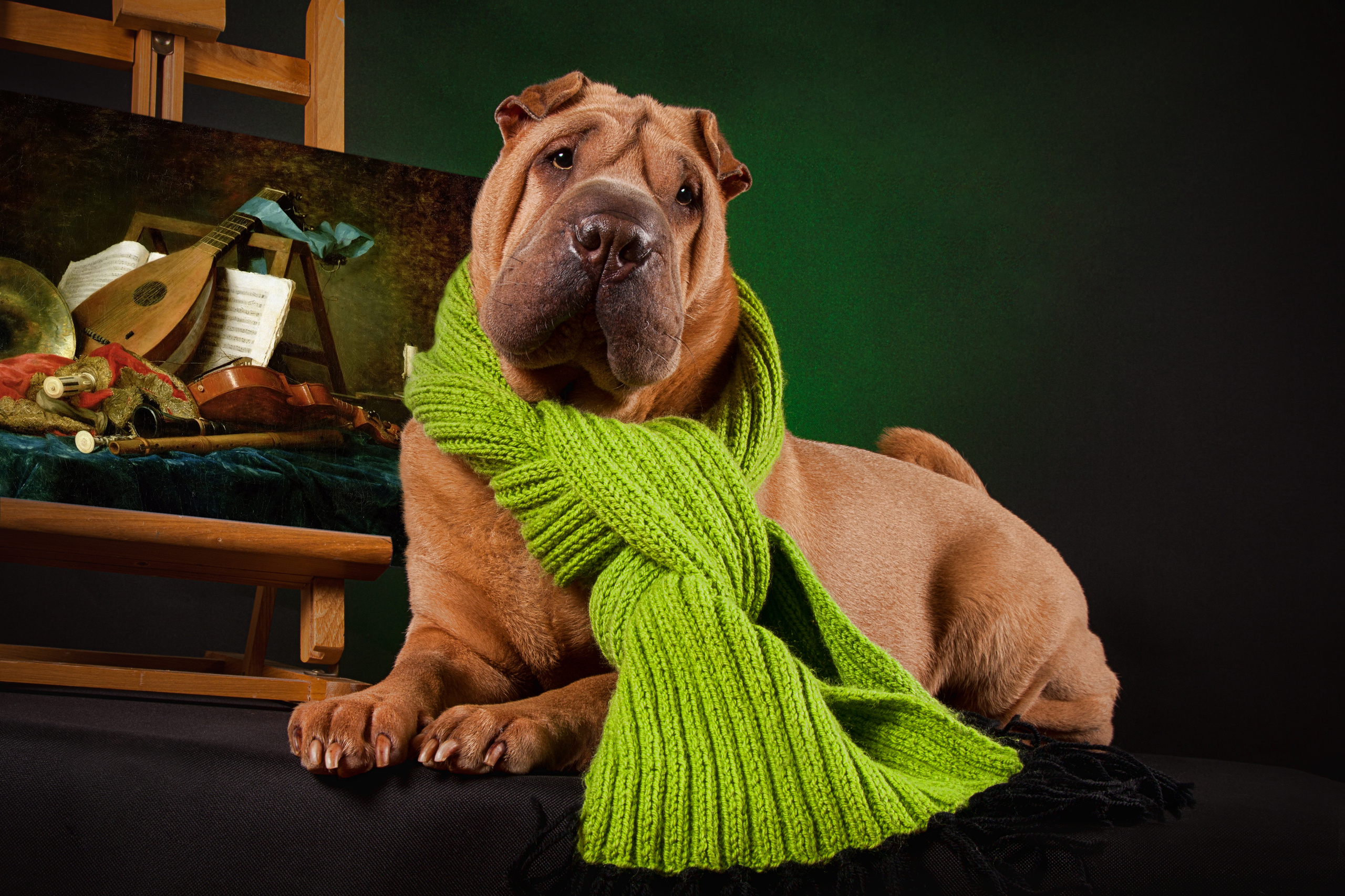 Zasmin. Фотограф в Таллине Виктория Баранова |фотосессии и обучение / Photographer Viktoria Baranova