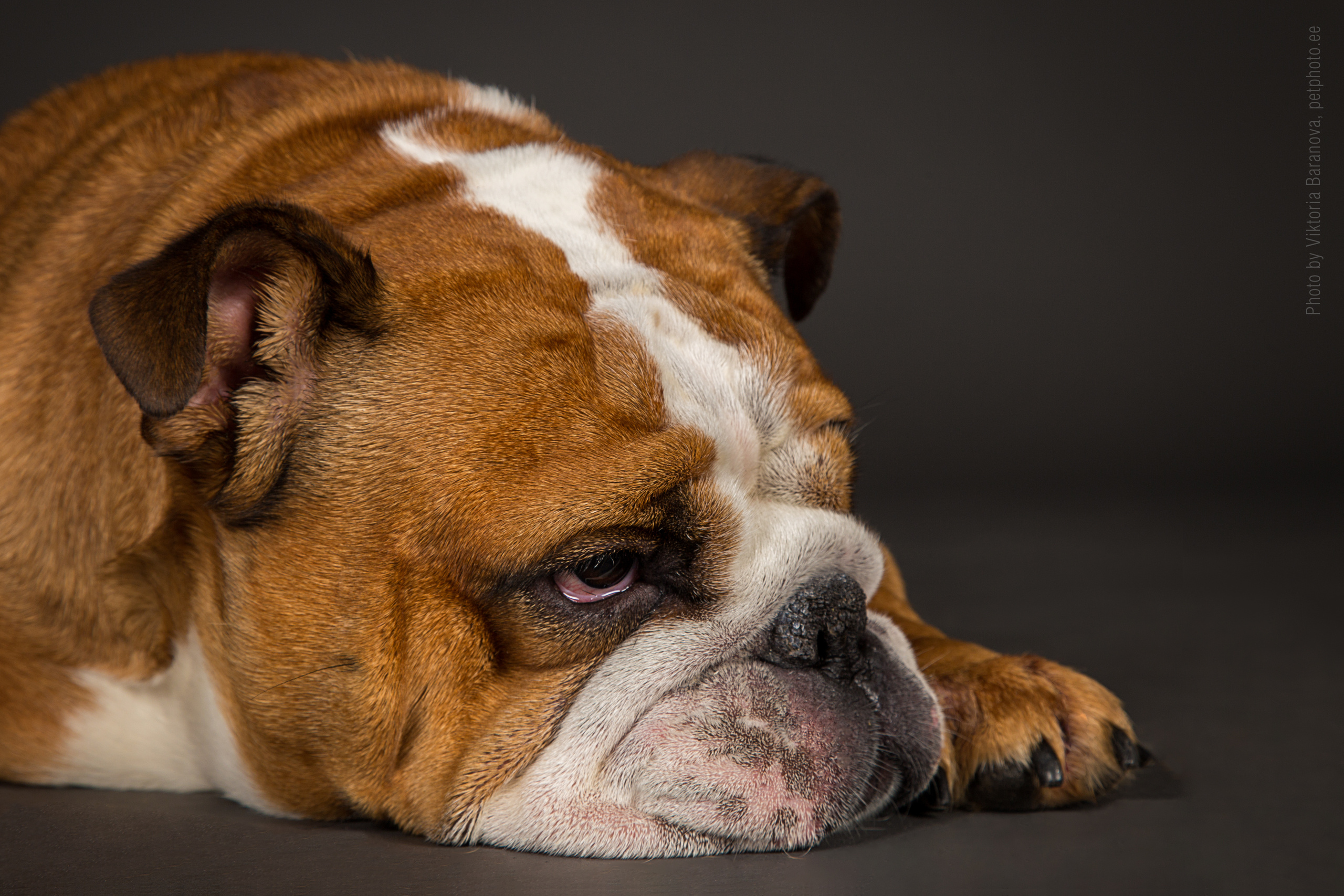 Kira. Фотограф в Таллине Виктория Баранова |фотосессии и обучение / Photographer Viktoria Baranova