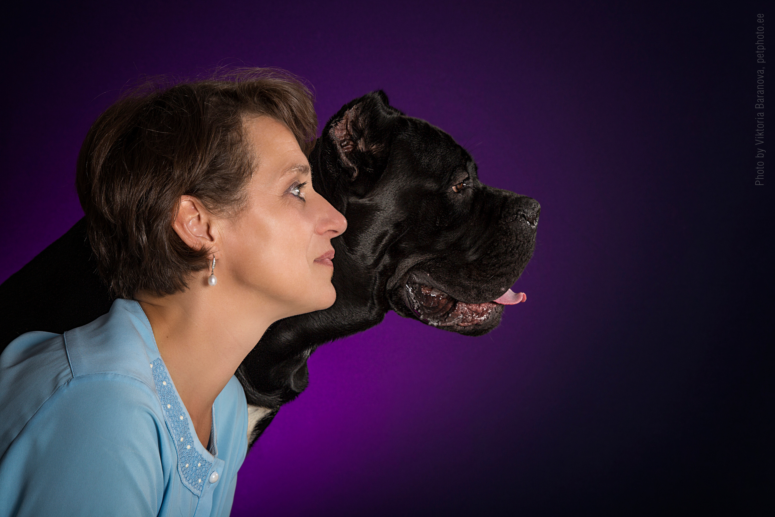 Cane corso. Фотограф в Таллине Виктория Баранова |фотосессии и обучение / Photographer Viktoria Baranova