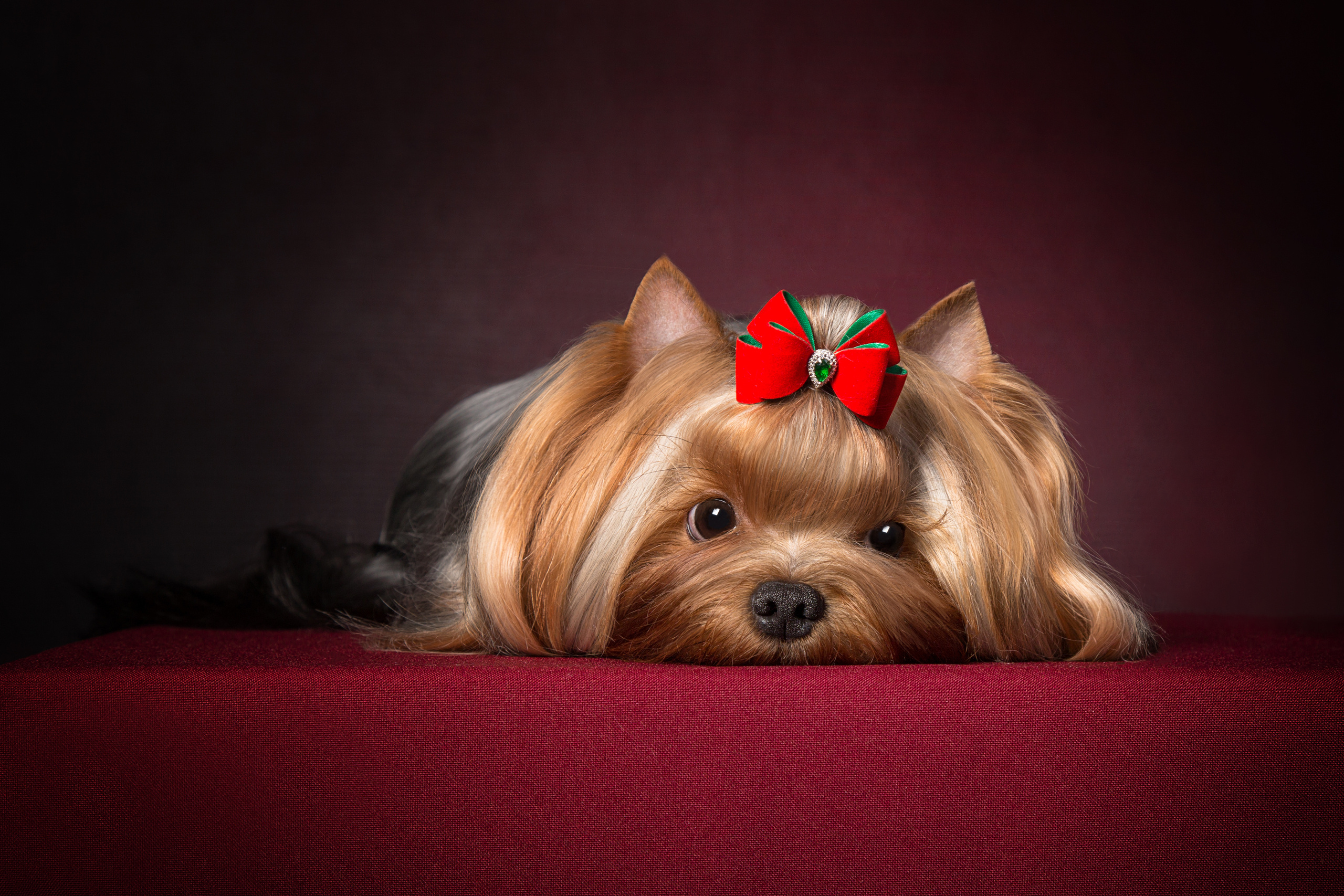 Pont — Yulya Osipova (9 фото). Фотограф в Таллине Виктория Баранова |фотосессии и обучение / Photographer Viktoria Baranova