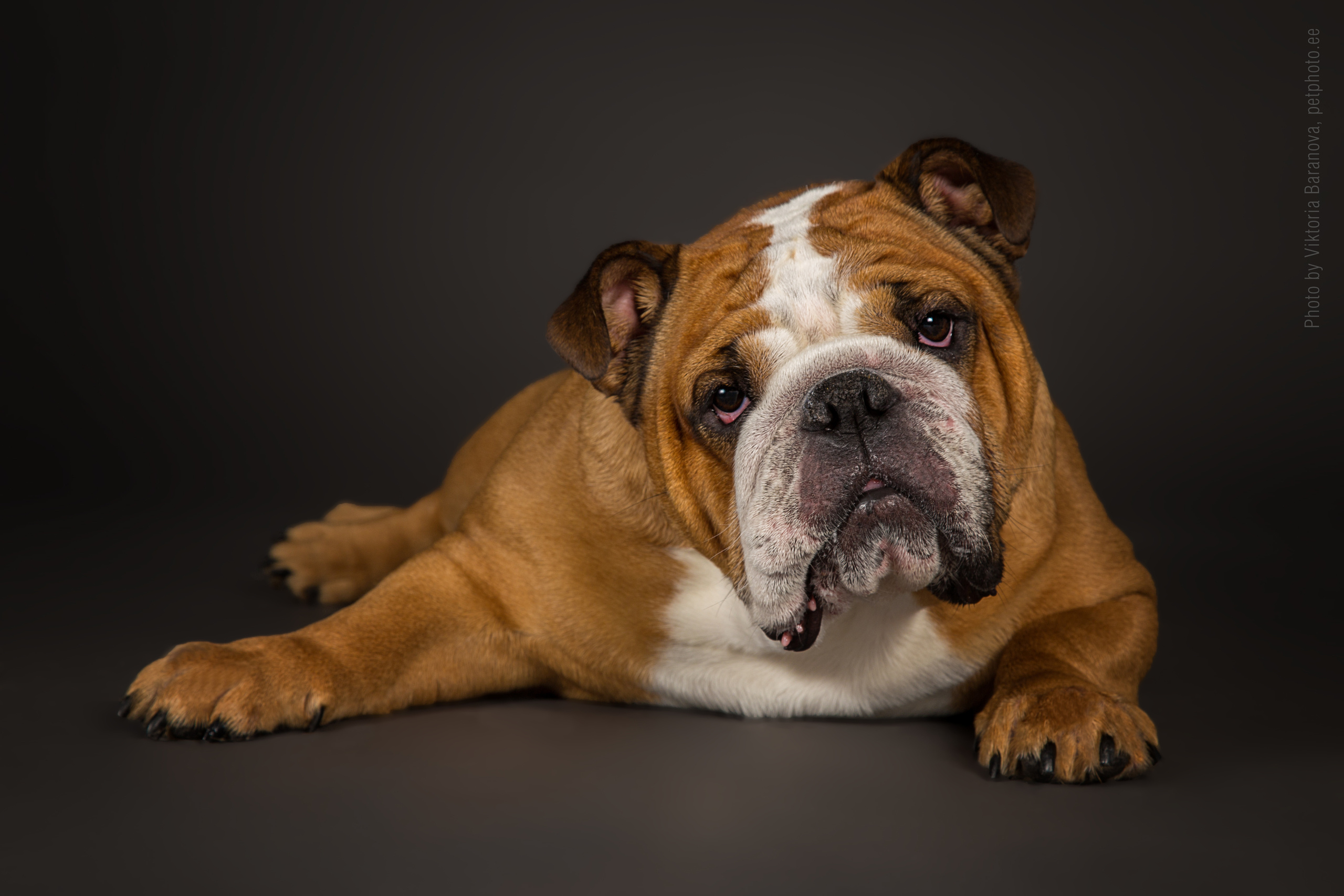 Kira. Фотограф в Таллине Виктория Баранова |фотосессии и обучение / Photographer Viktoria Baranova