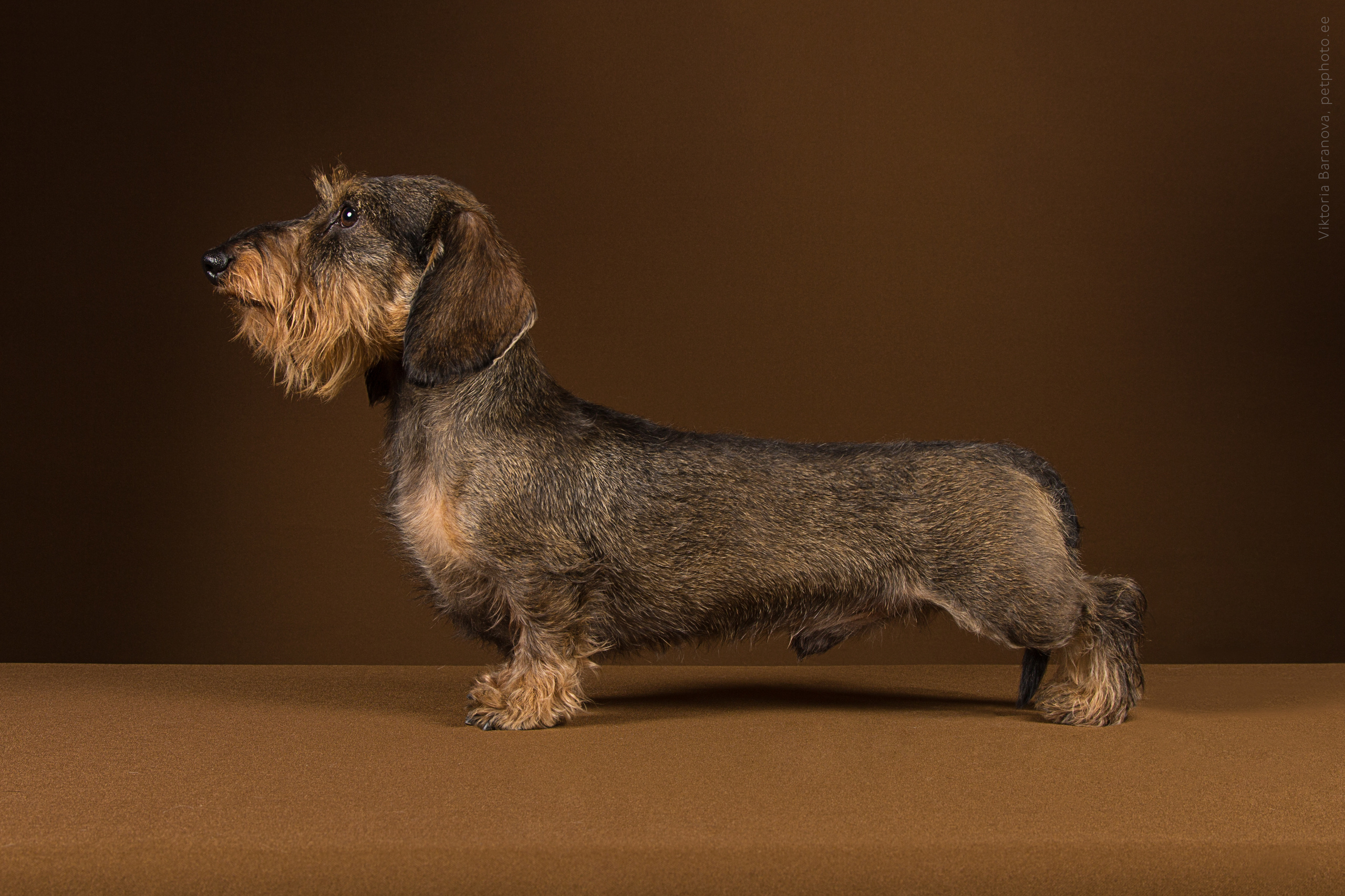 Taksi (4 фото). Фотограф в Таллине Виктория Баранова |фотосессии и обучение / Photographer Viktoria Baranova