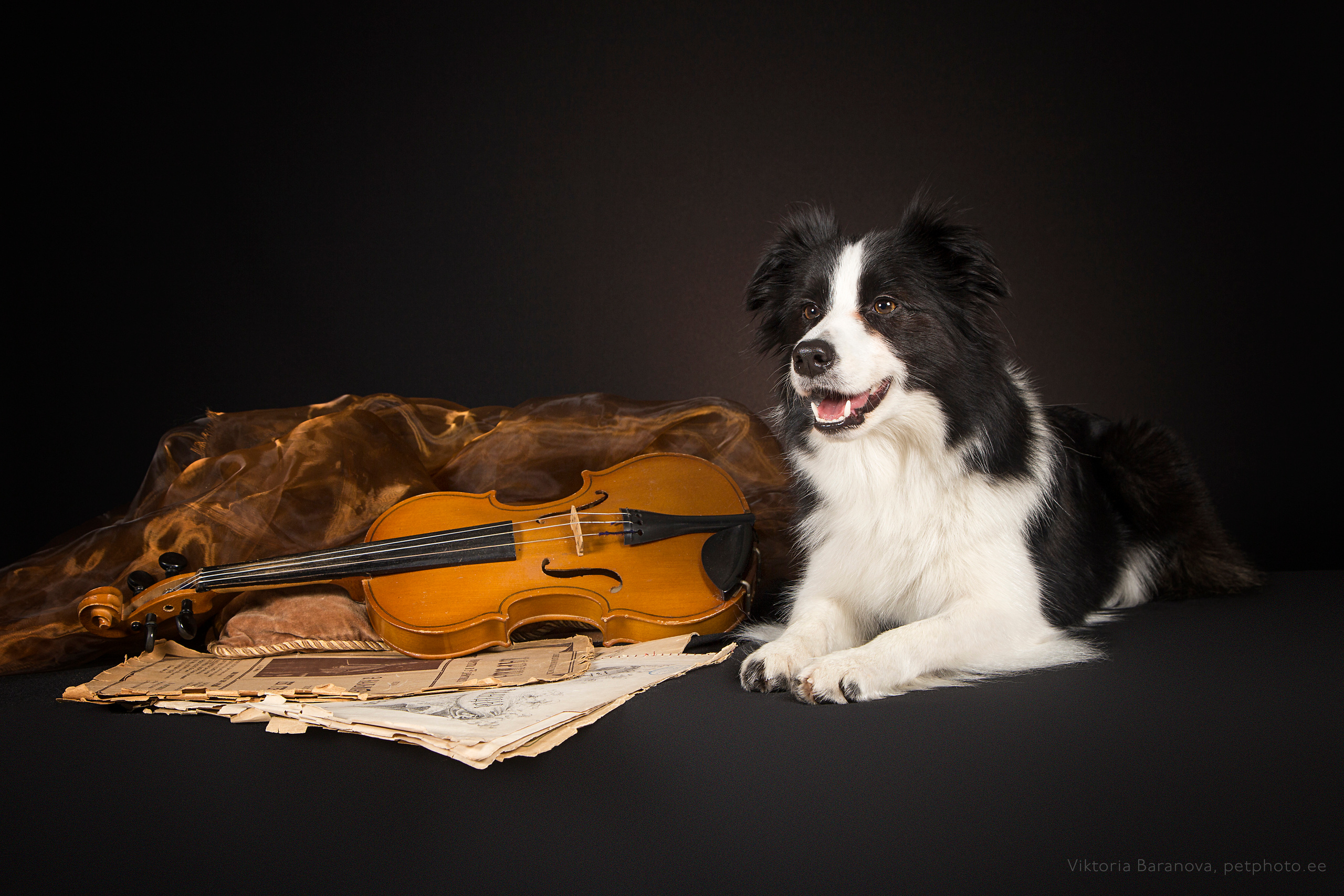 Jan (7 фото). Фотограф в Таллине Виктория Баранова |фотосессии и обучение / Photographer Viktoria Baranova