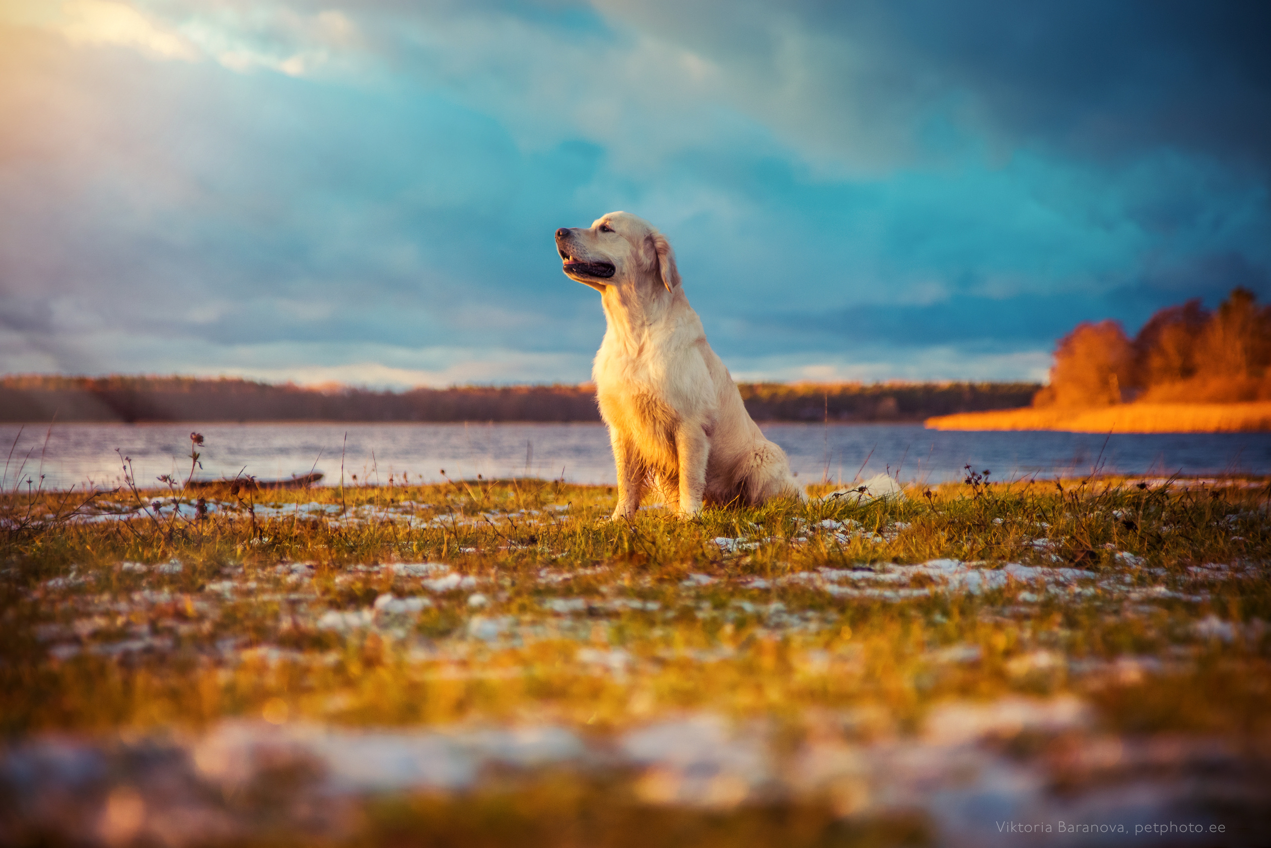 MK. Фотограф в Таллине Виктория Баранова |фотосессии и обучение / Photographer Viktoria Baranova