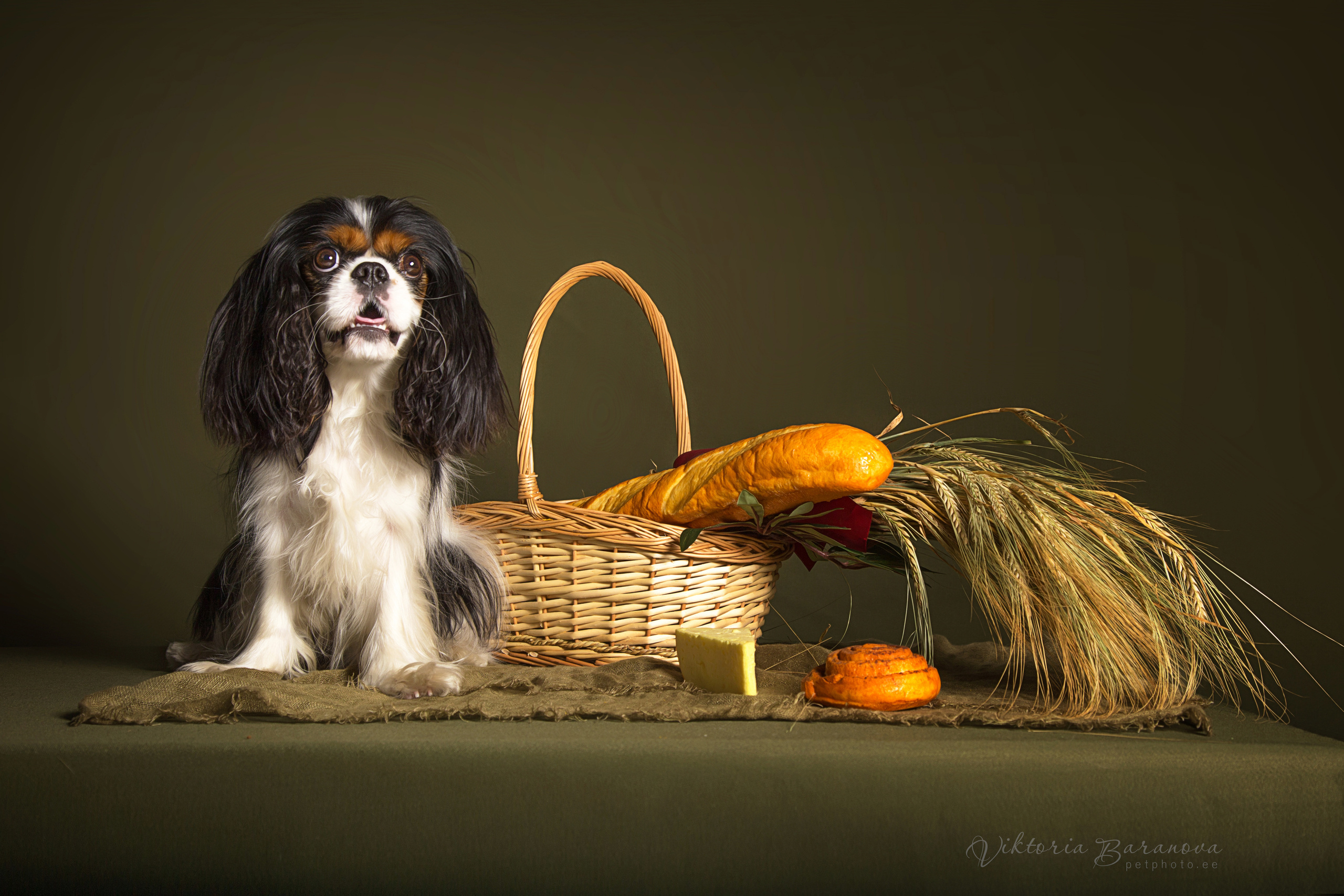 Egor (7 фото). Фотограф в Таллине Виктория Баранова |фотосессии и обучение / Photographer Viktoria Baranova