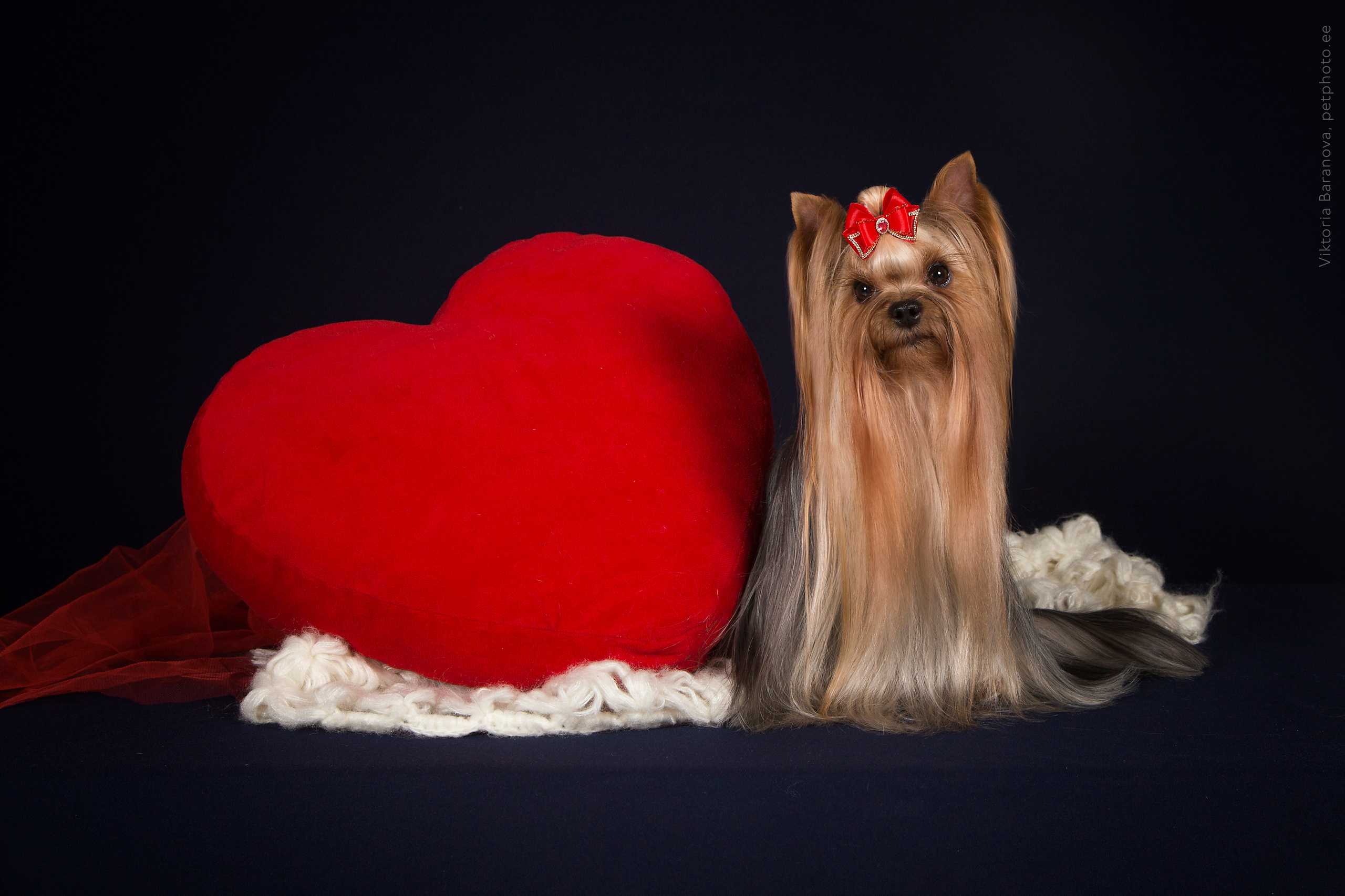 Merike (6 фото). Фотограф в Таллине Виктория Баранова |фотосессии и обучение / Photographer Viktoria Baranova