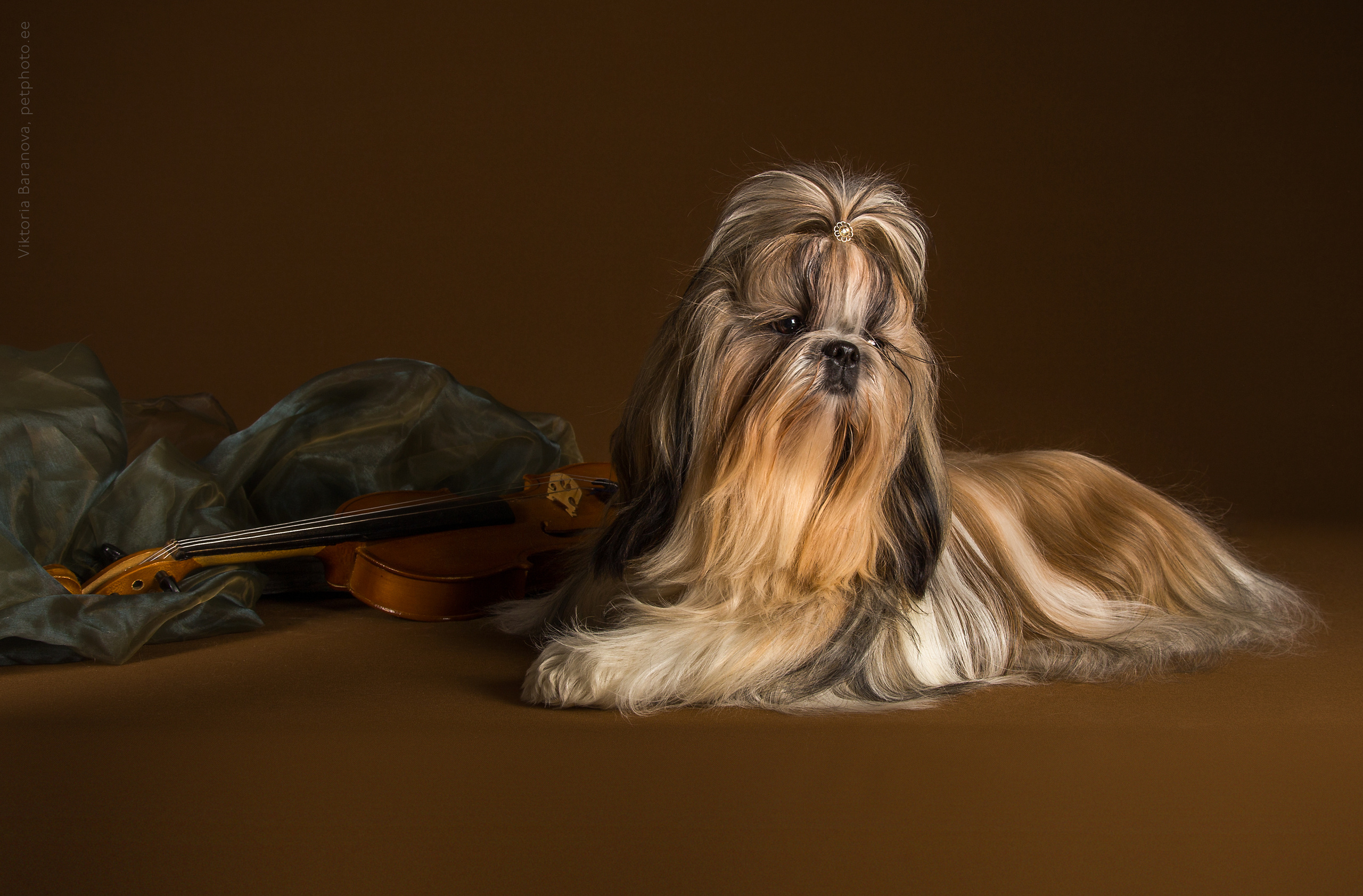 Liza Ostapchuk (11 фото). Фотограф в Таллине Виктория Баранова |фотосессии и обучение / Photographer Viktoria Baranova