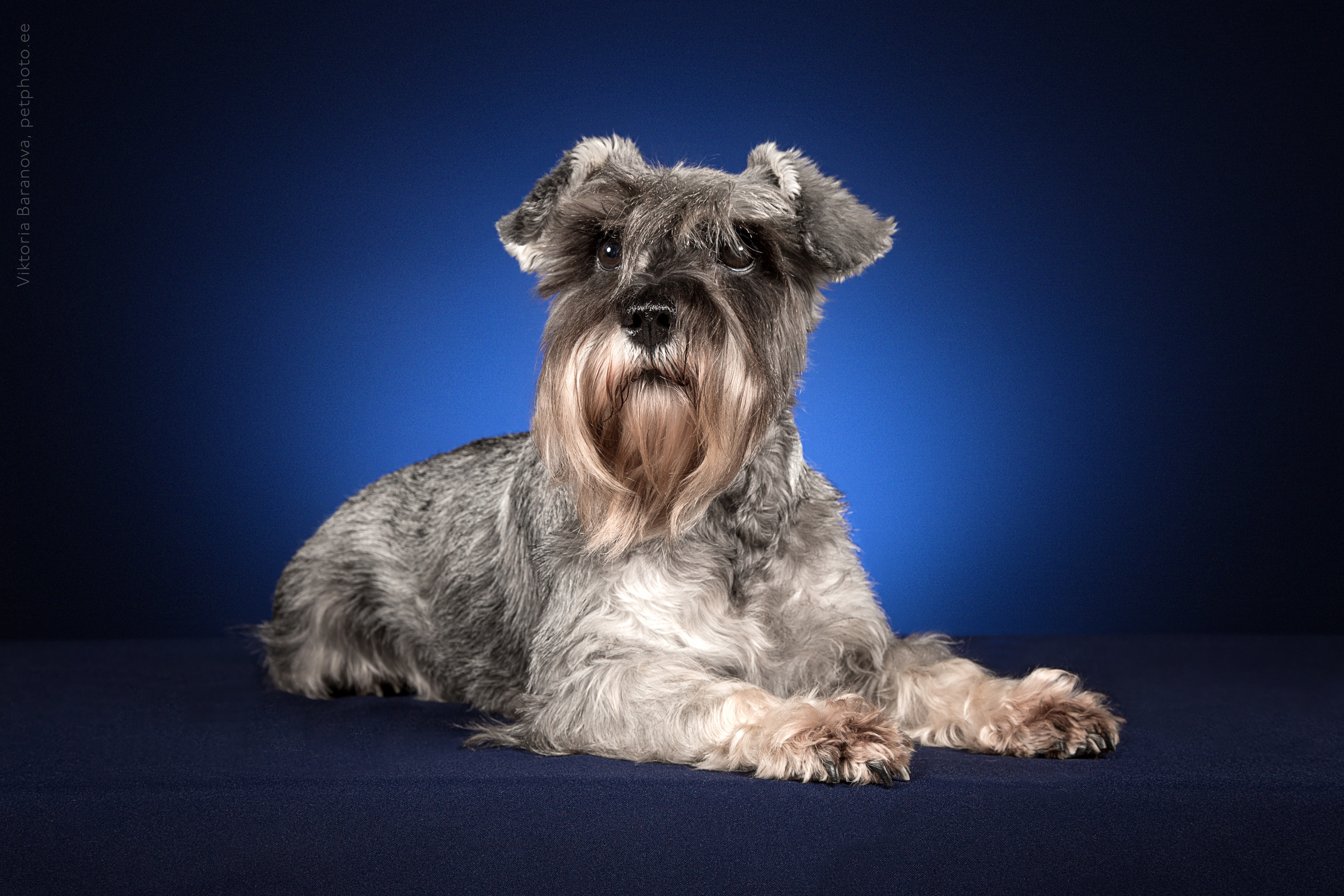 Jessy i Laiza (7 фото). Фотограф в Таллине Виктория Баранова |фотосессии и обучение / Photographer Viktoria Baranova