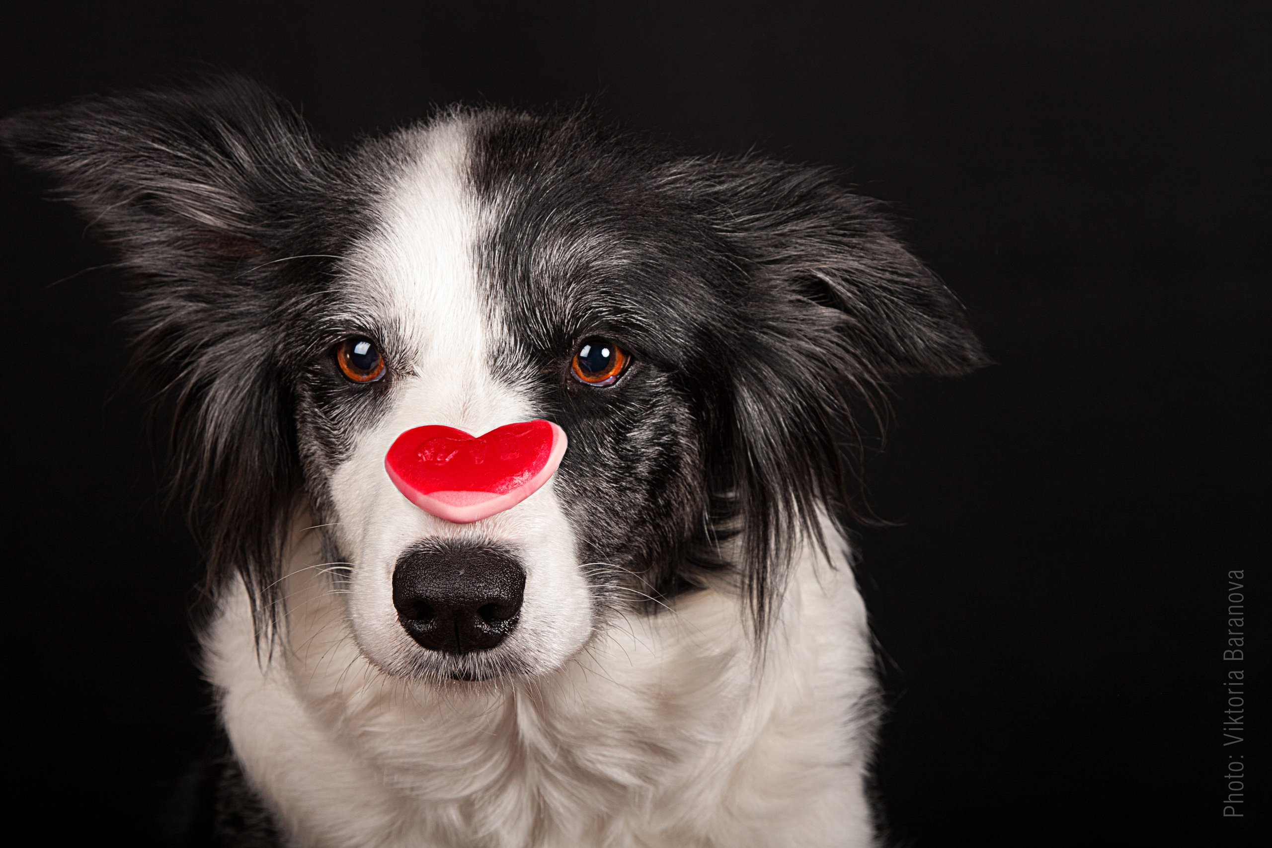 Uma, Bolti. Фотограф в Таллине Виктория Баранова |фотосессии и обучение / Photographer Viktoria Baranova