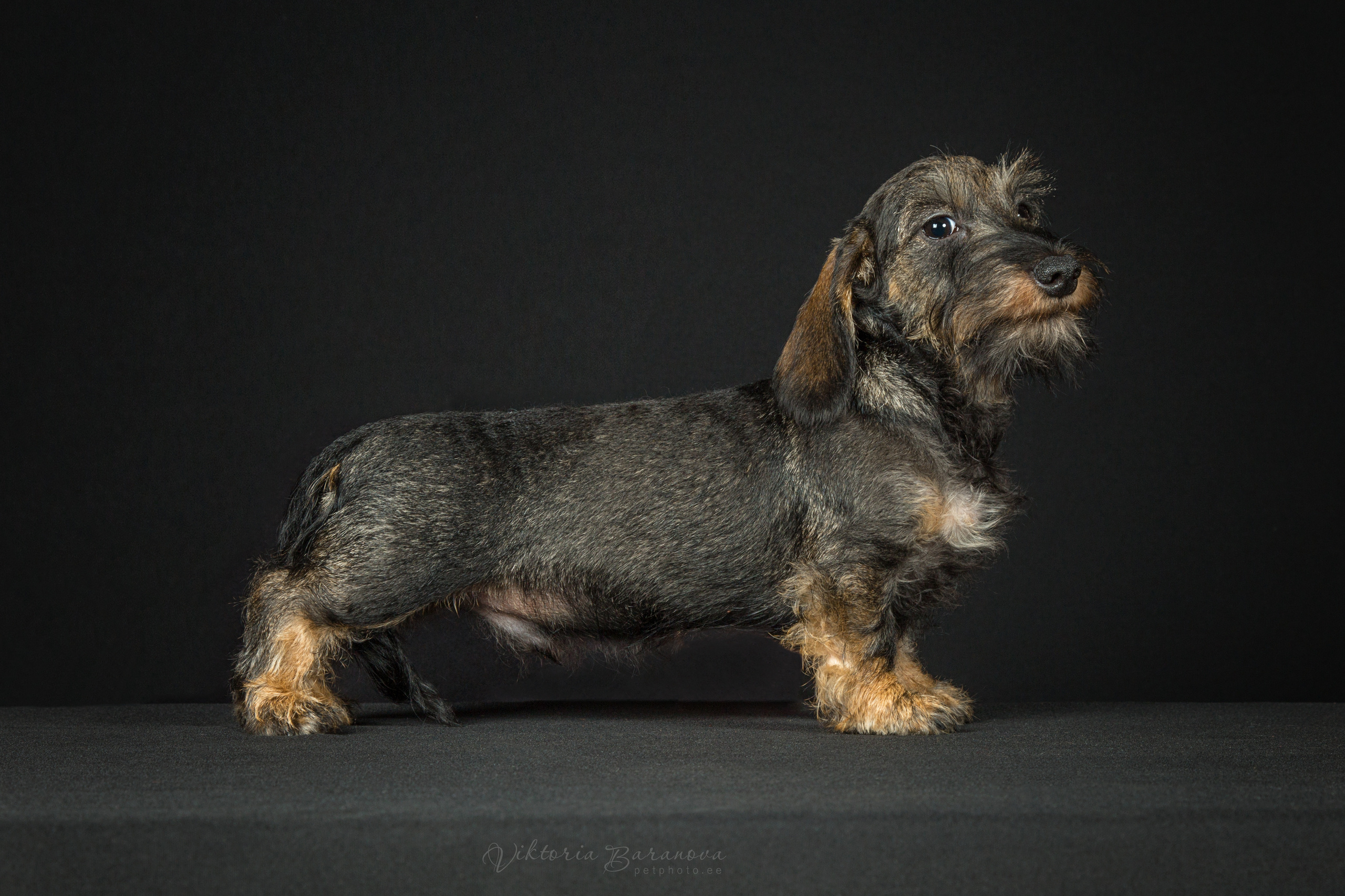 Taksi (6 фото). Фотограф в Таллине Виктория Баранова |фотосессии и обучение / Photographer Viktoria Baranova