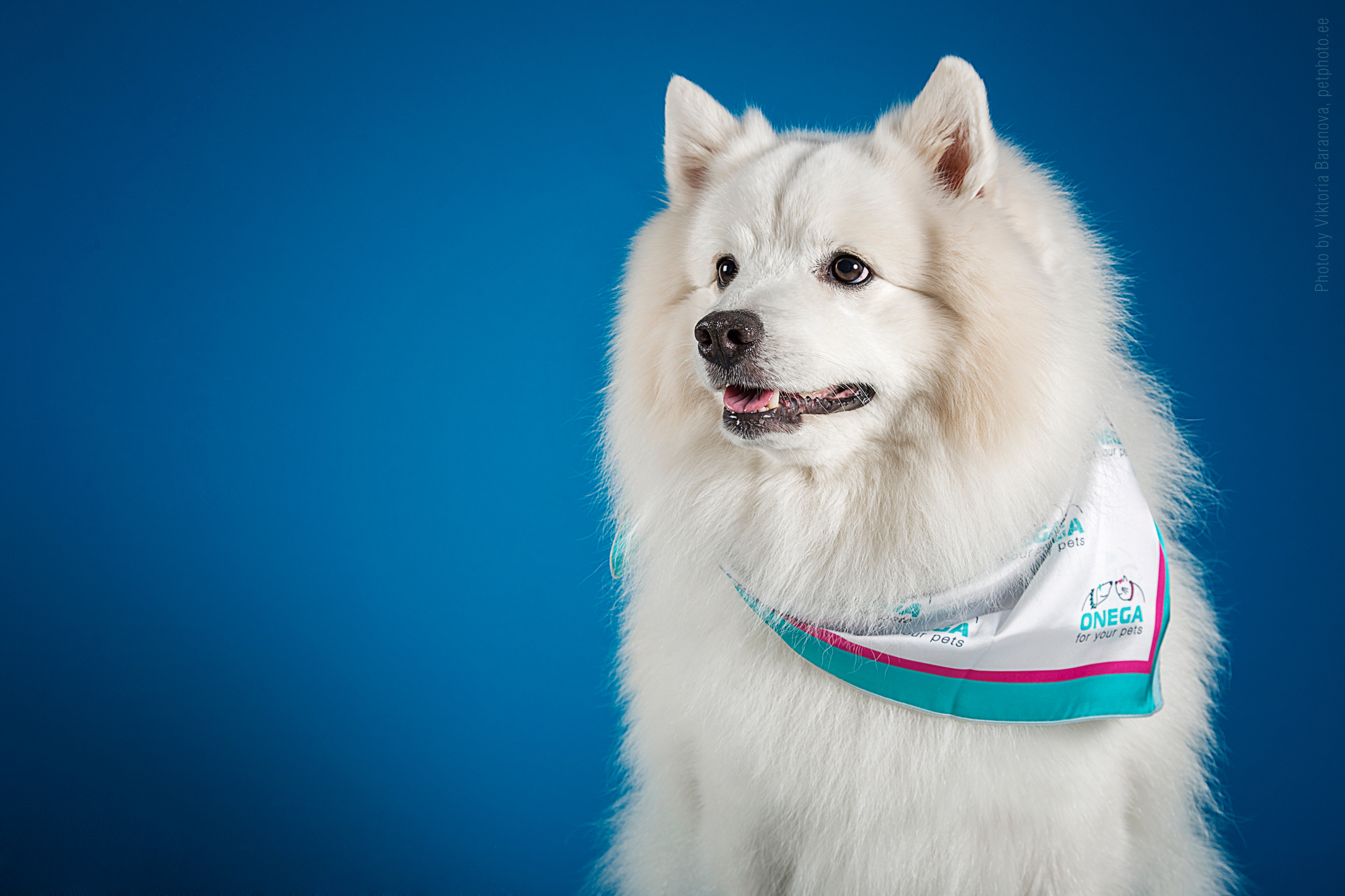 Kai. Фотограф в Таллине Виктория Баранова |фотосессии и обучение / Photographer Viktoria Baranova