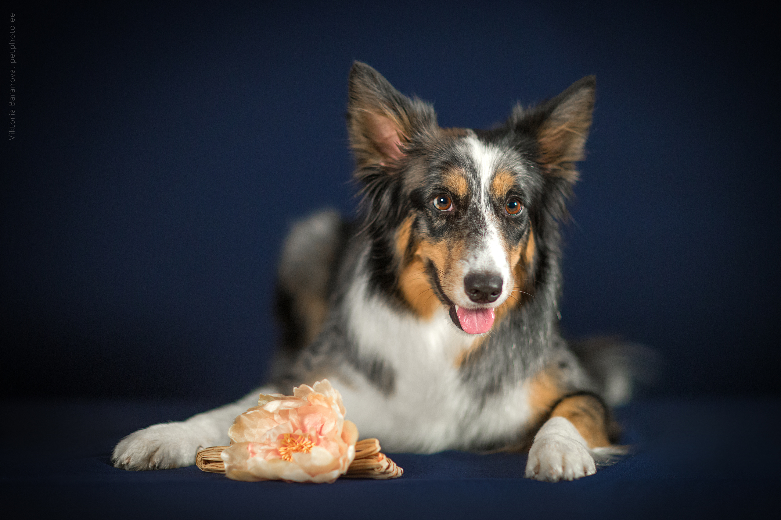 Flame. Фотограф в Таллине Виктория Баранова |фотосессии и обучение / Photographer Viktoria Baranova