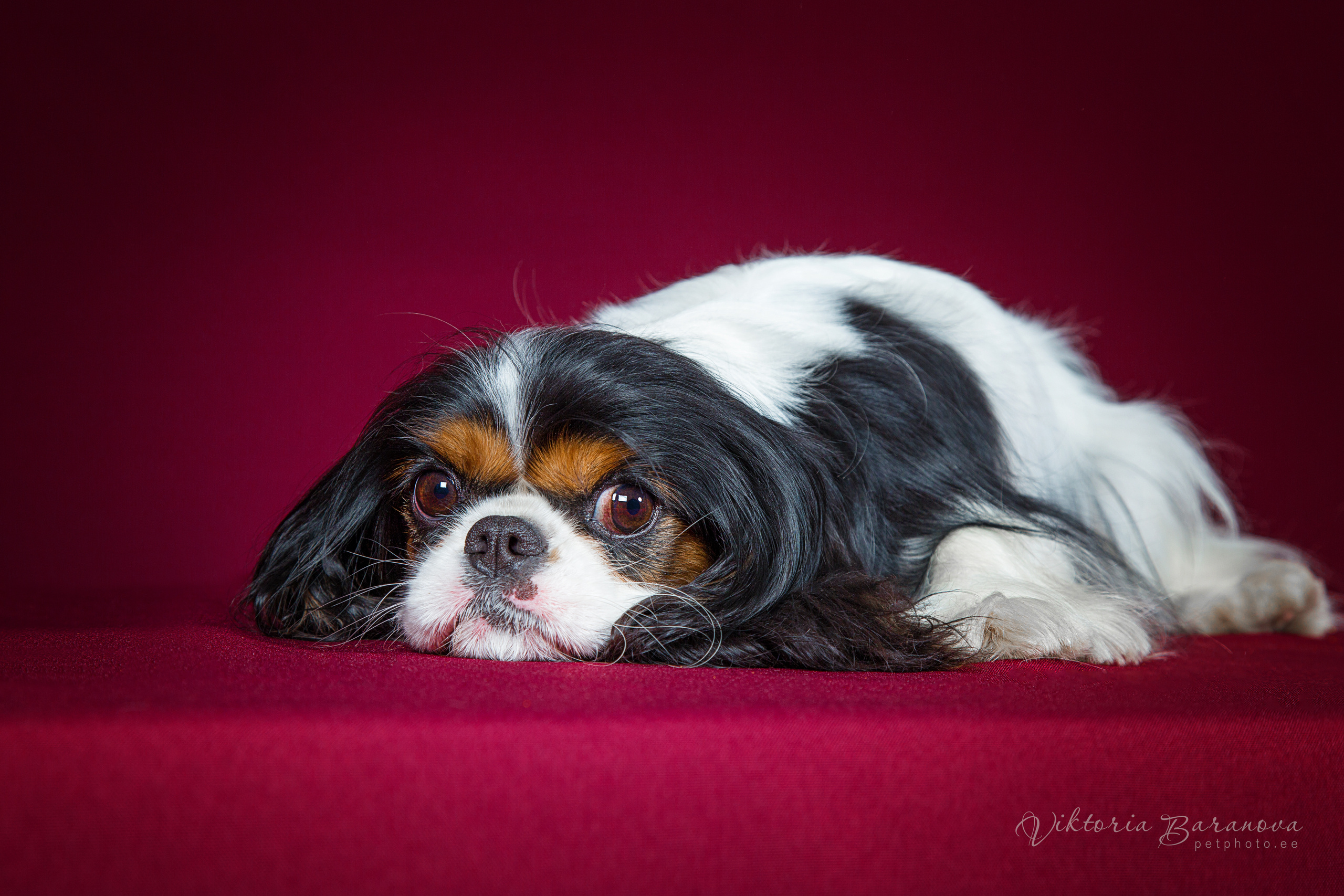 Egor (7 фото). Фотограф в Таллине Виктория Баранова |фотосессии и обучение / Photographer Viktoria Baranova