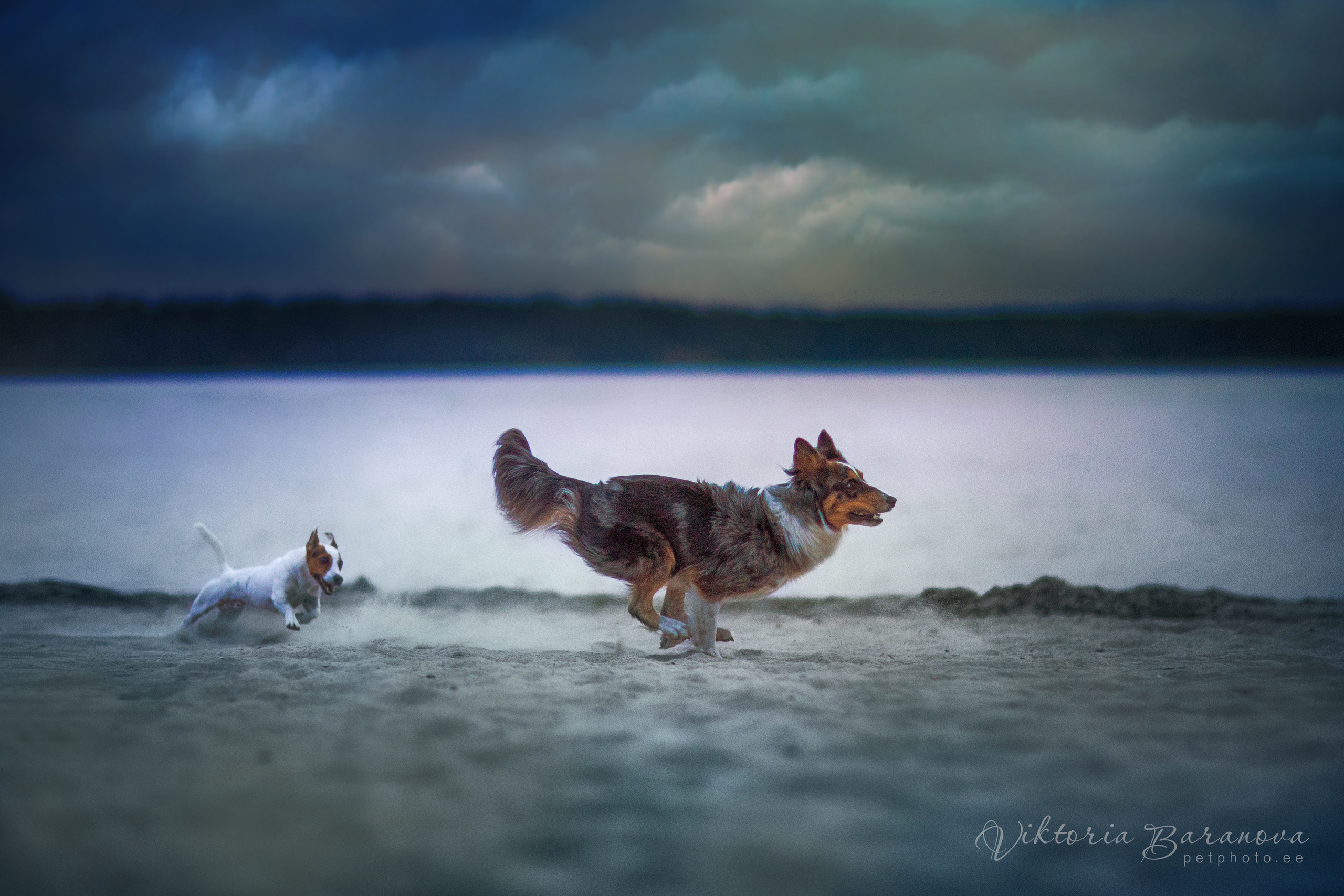 MK 3 (5 фото). Фотограф в Таллине Виктория Баранова |фотосессии и обучение / Photographer Viktoria Baranova