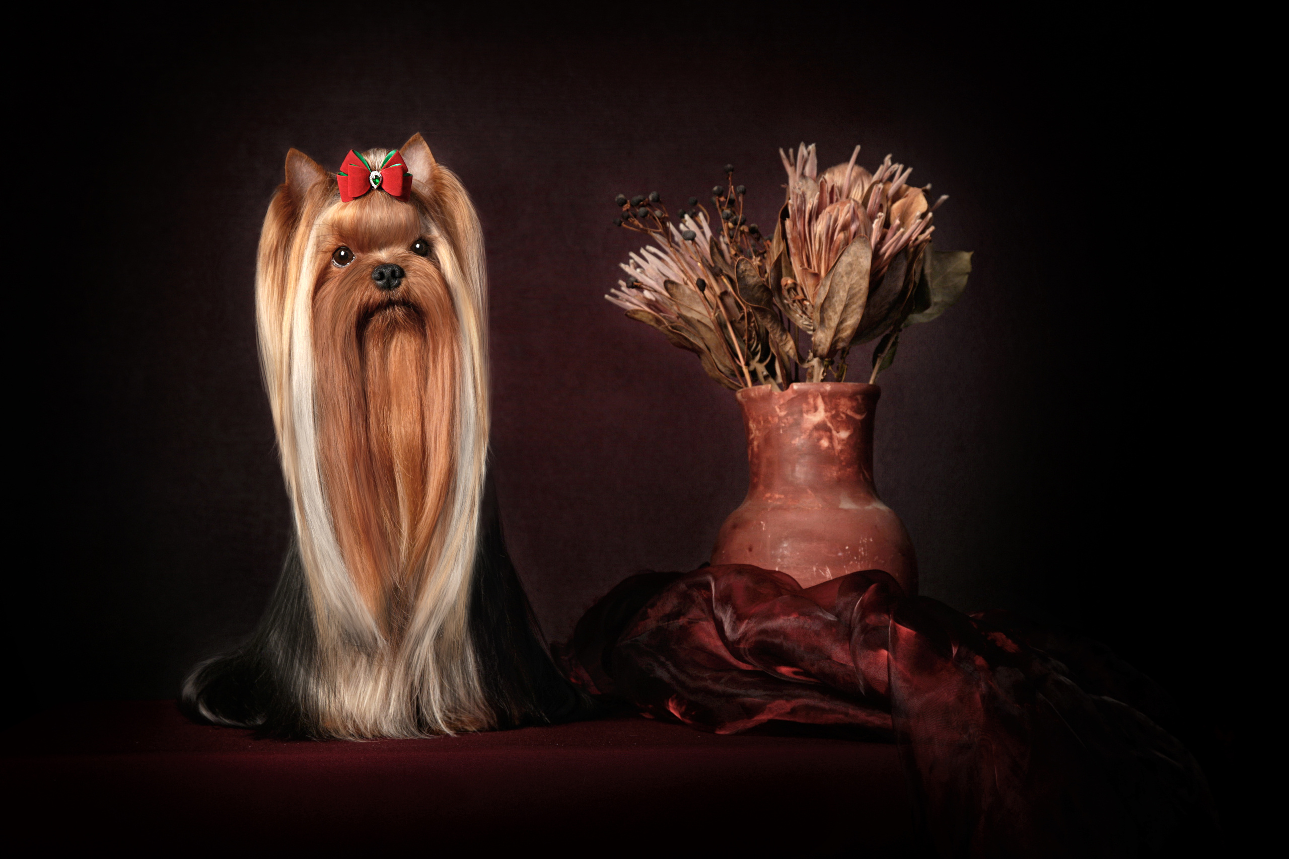 Pont — Yulya Osipova (9 фото). Фотограф в Таллине Виктория Баранова |фотосессии и обучение / Photographer Viktoria Baranova