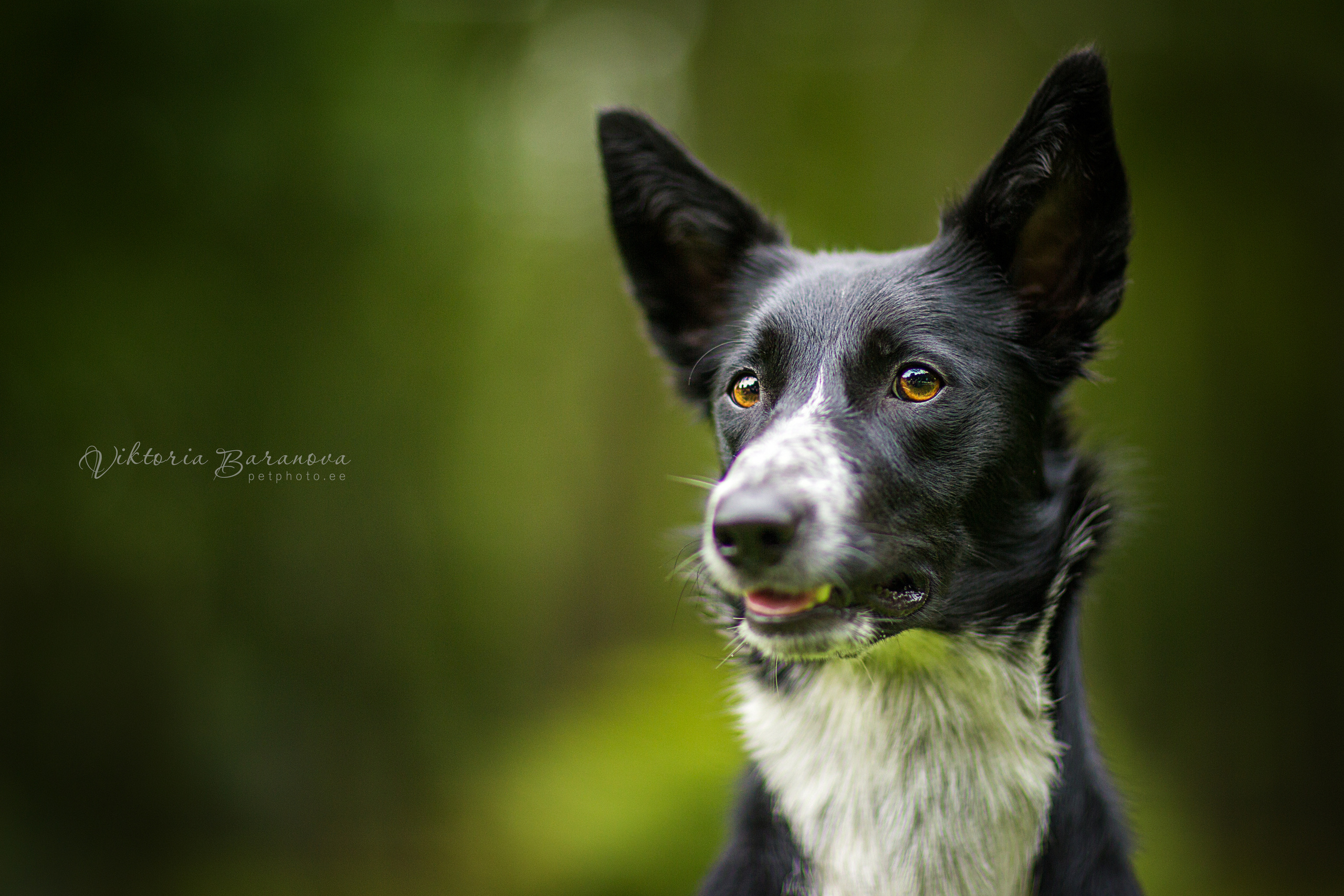 MK 4 (6 фото). Фотограф в Таллине Виктория Баранова |фотосессии и обучение / Photographer Viktoria Baranova