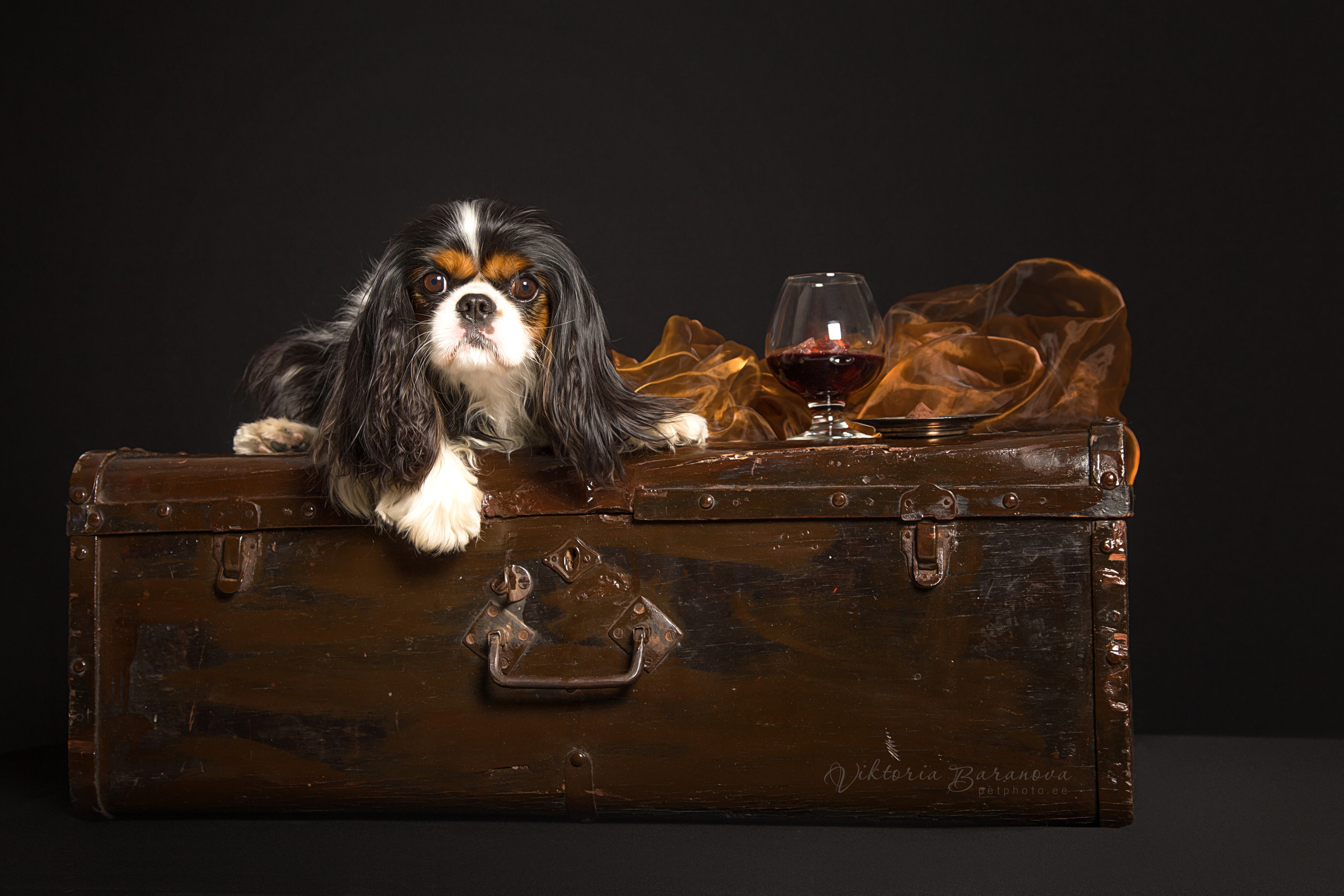 Egor (7 фото). Фотограф в Таллине Виктория Баранова |фотосессии и обучение / Photographer Viktoria Baranova