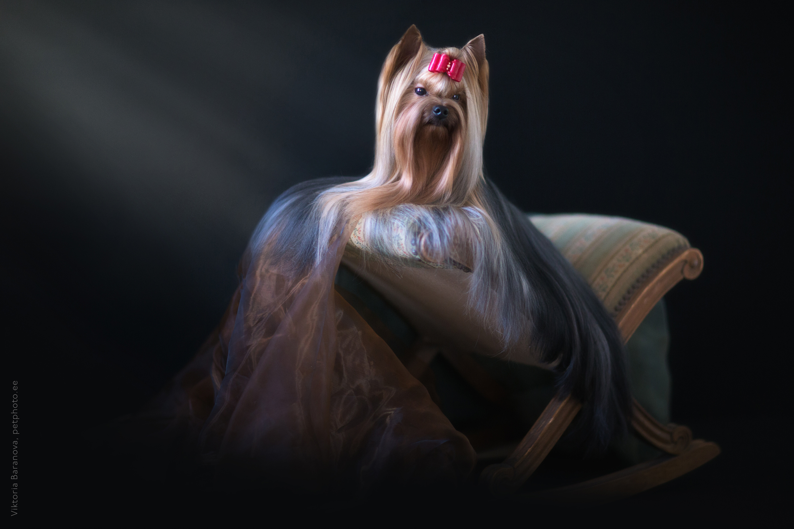 Olja Begena. Фотограф в Таллине Виктория Баранова |фотосессии и обучение / Photographer Viktoria Baranova