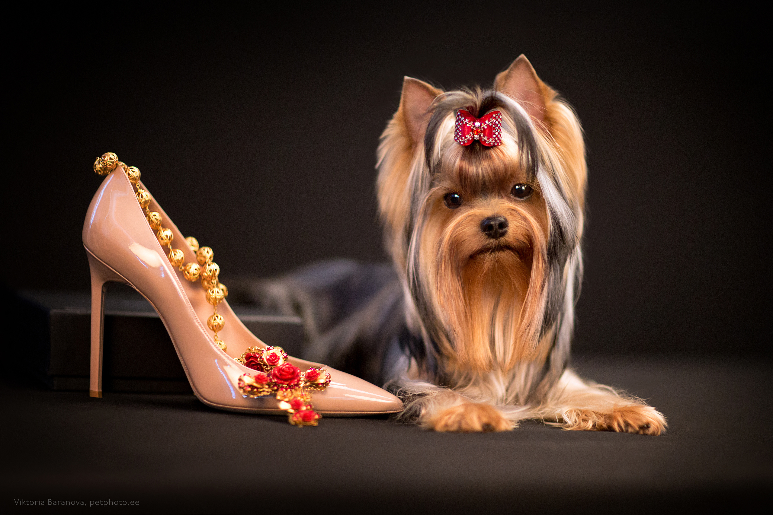 Mishel (9 фото). Фотограф в Таллине Виктория Баранова |фотосессии и обучение / Photographer Viktoria Baranova