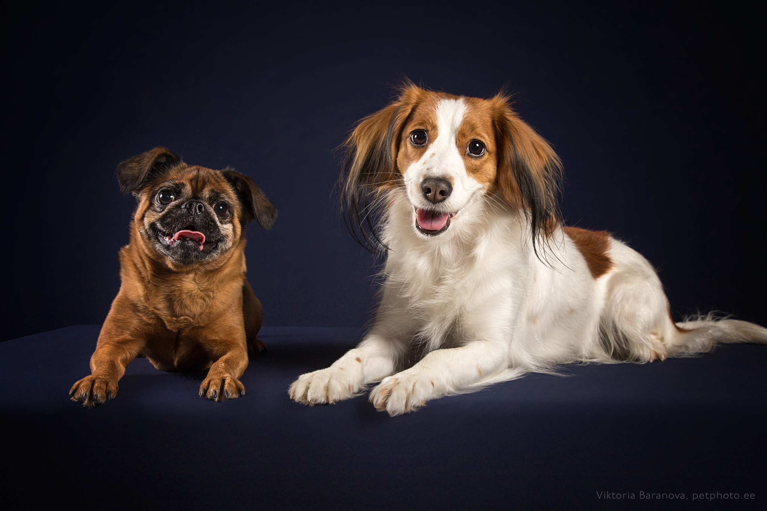 Ira Bogdan (11 фото). Фотограф в Таллине Виктория Баранова |фотосессии и обучение / Photographer Viktoria Baranova