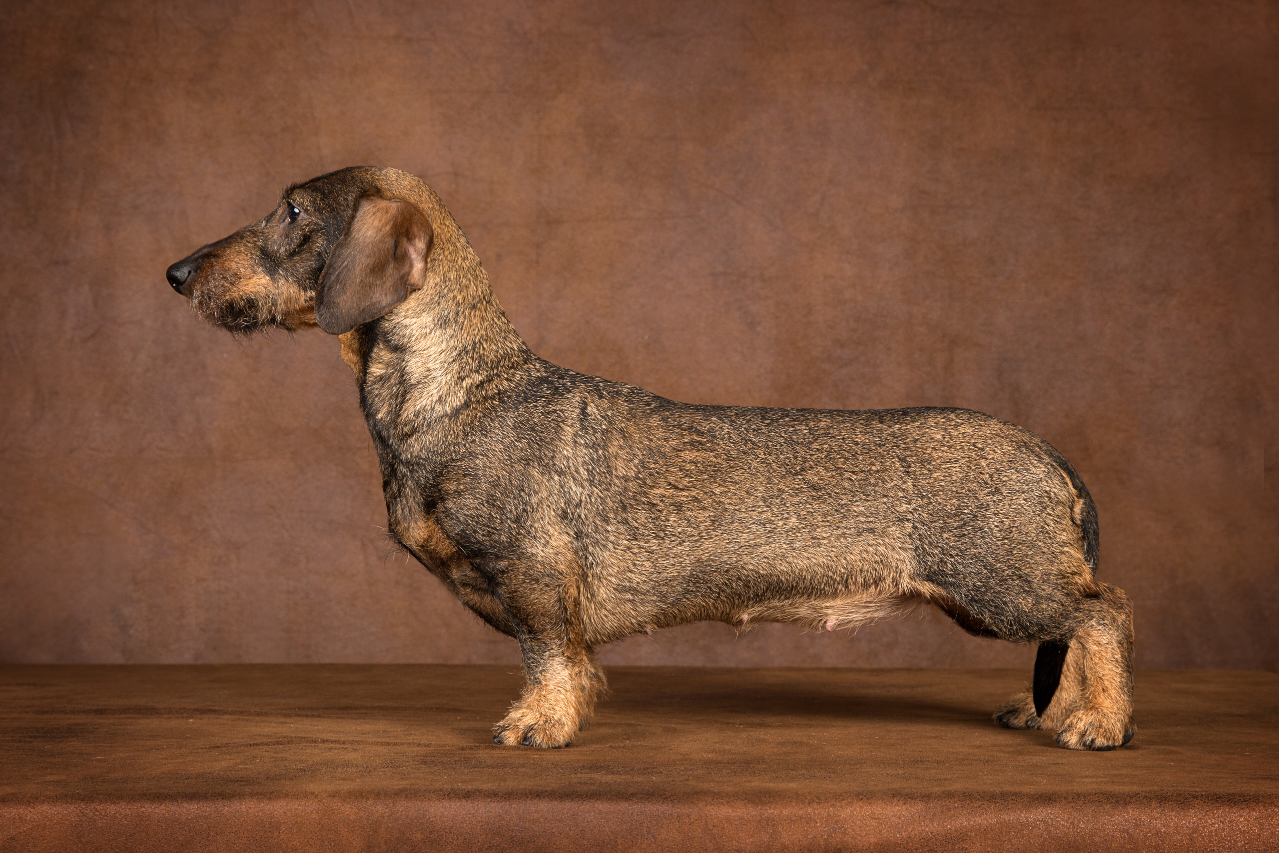 Inga taksi (6 фото). Фотограф в Таллине Виктория Баранова |фотосессии и обучение / Photographer Viktoria Baranova