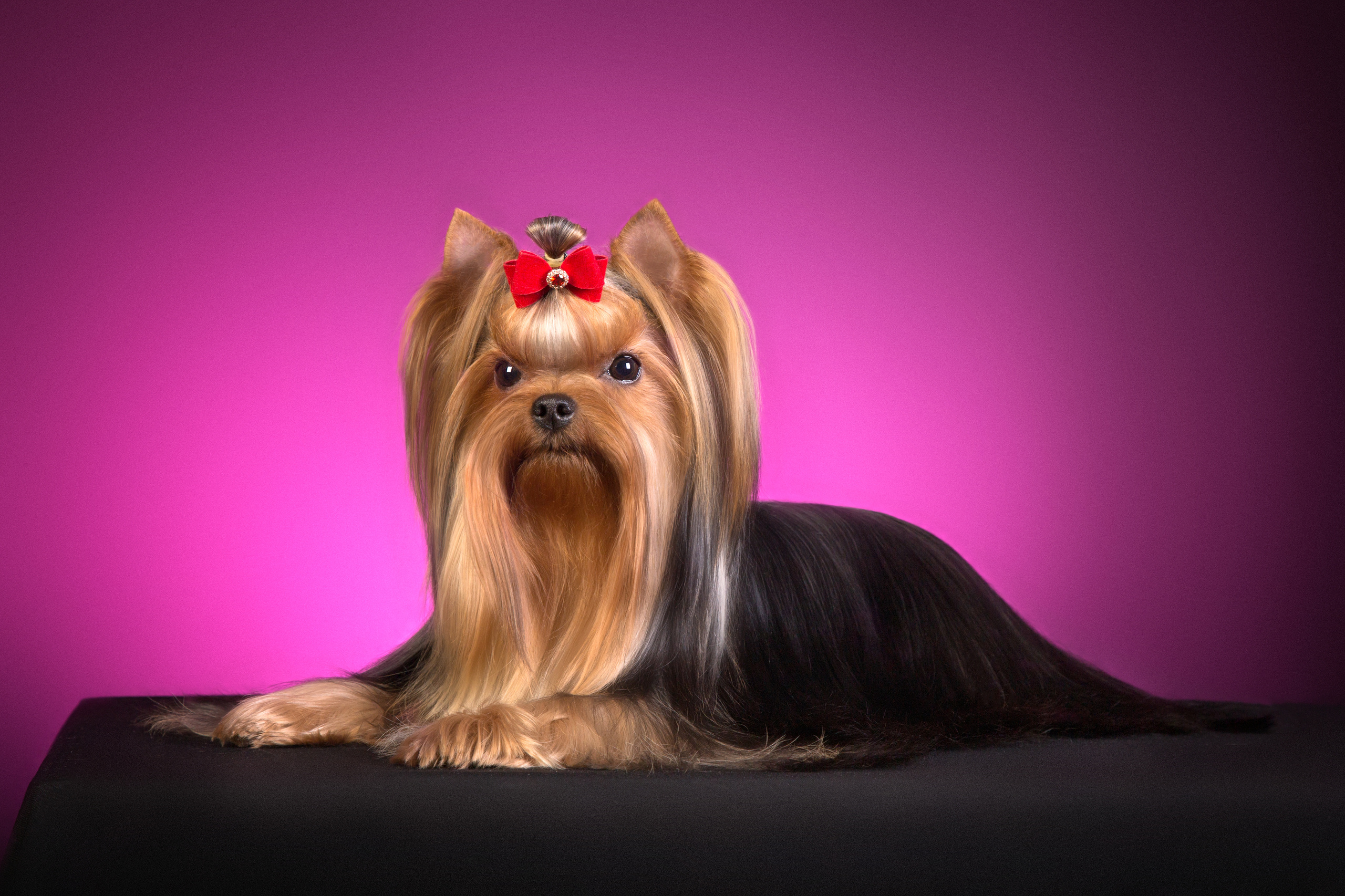 Irina Goifman (14 фото). Фотограф в Таллине Виктория Баранова |фотосессии и обучение / Photographer Viktoria Baranova