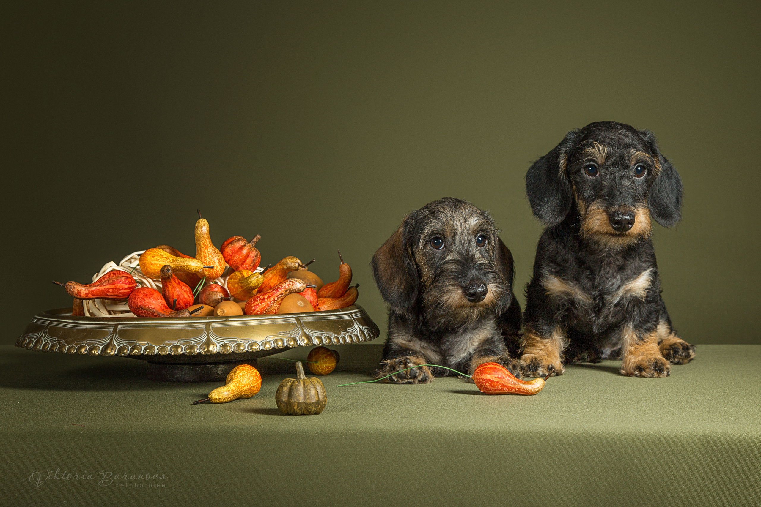 Taksi (6 фото). Фотограф в Таллине Виктория Баранова |фотосессии и обучение / Photographer Viktoria Baranova