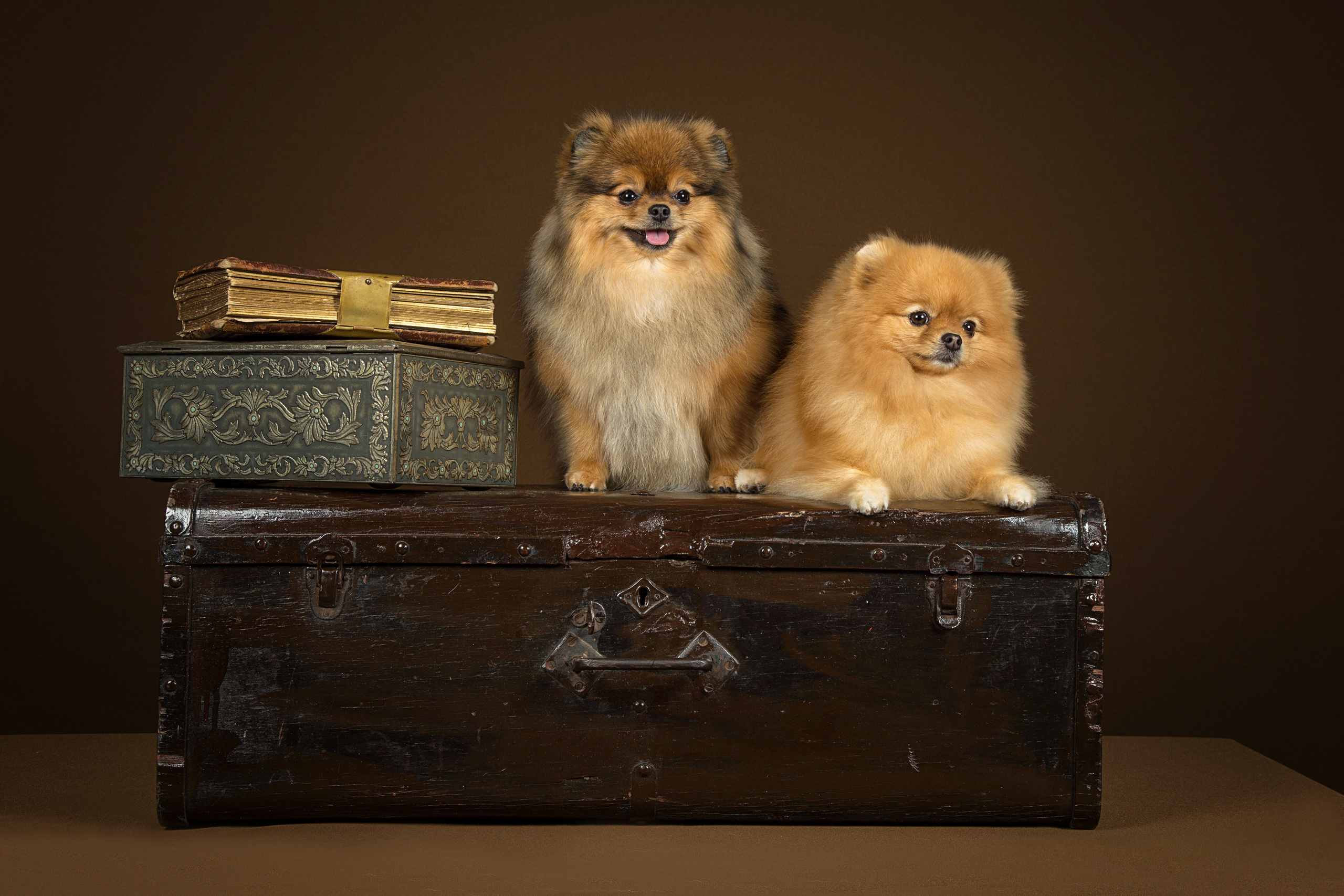 Sisi Blue (7 фото). Фотограф в Таллине Виктория Баранова |фотосессии и обучение / Photographer Viktoria Baranova